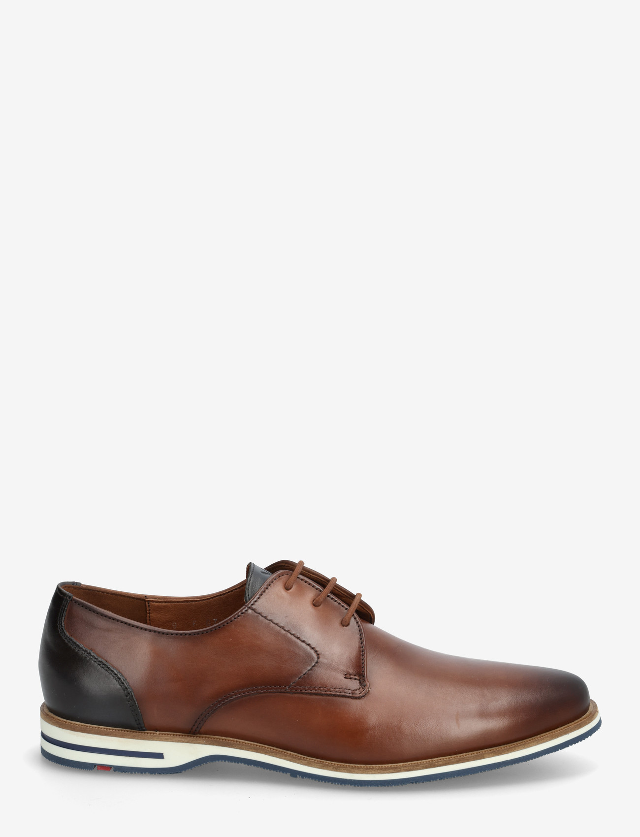 Lloyd - ALTON - derby kingad - 5 - dk.brown/navy - 1