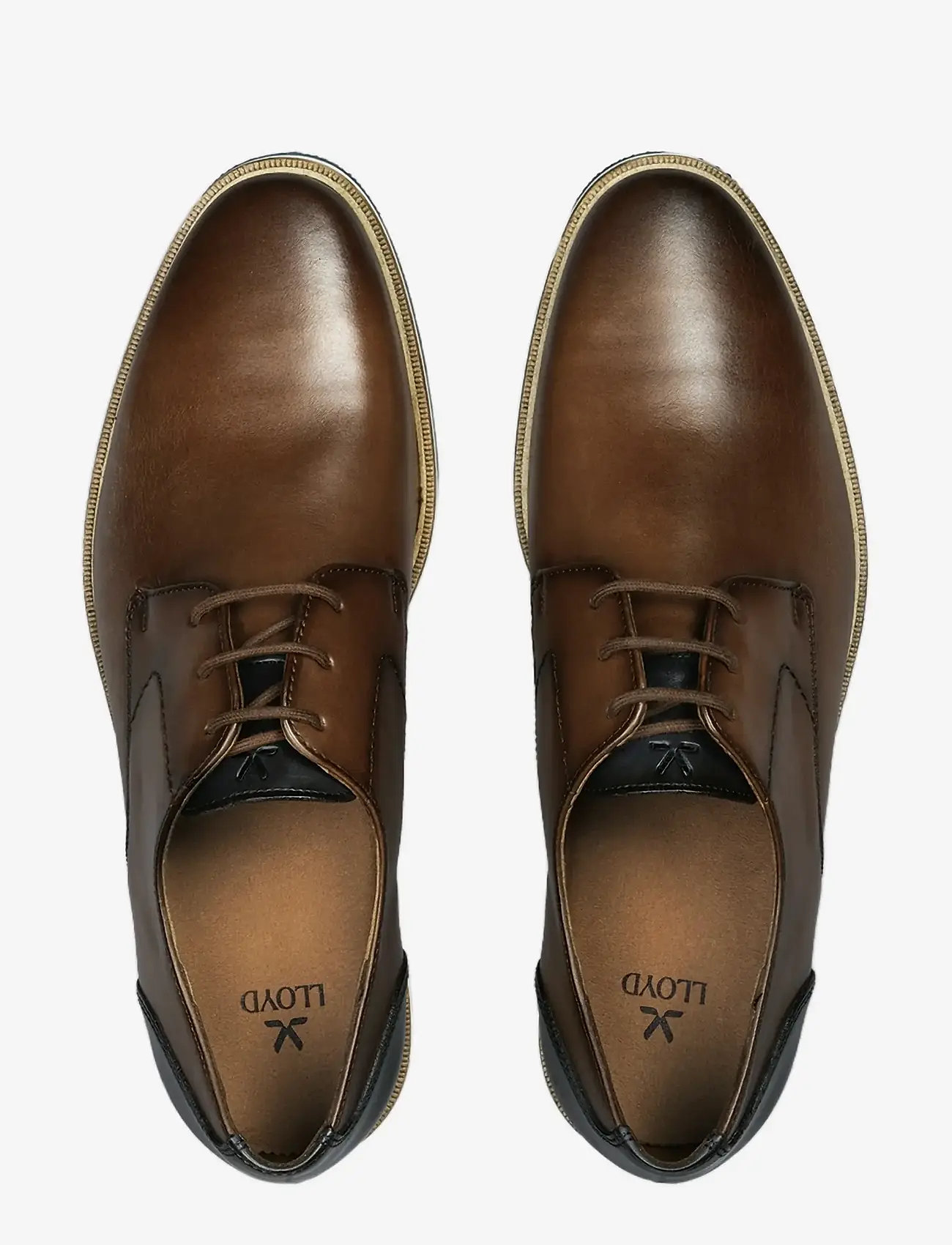 Lloyd - ALTON - derby kingad - 5 - dk.brown/navy - 1