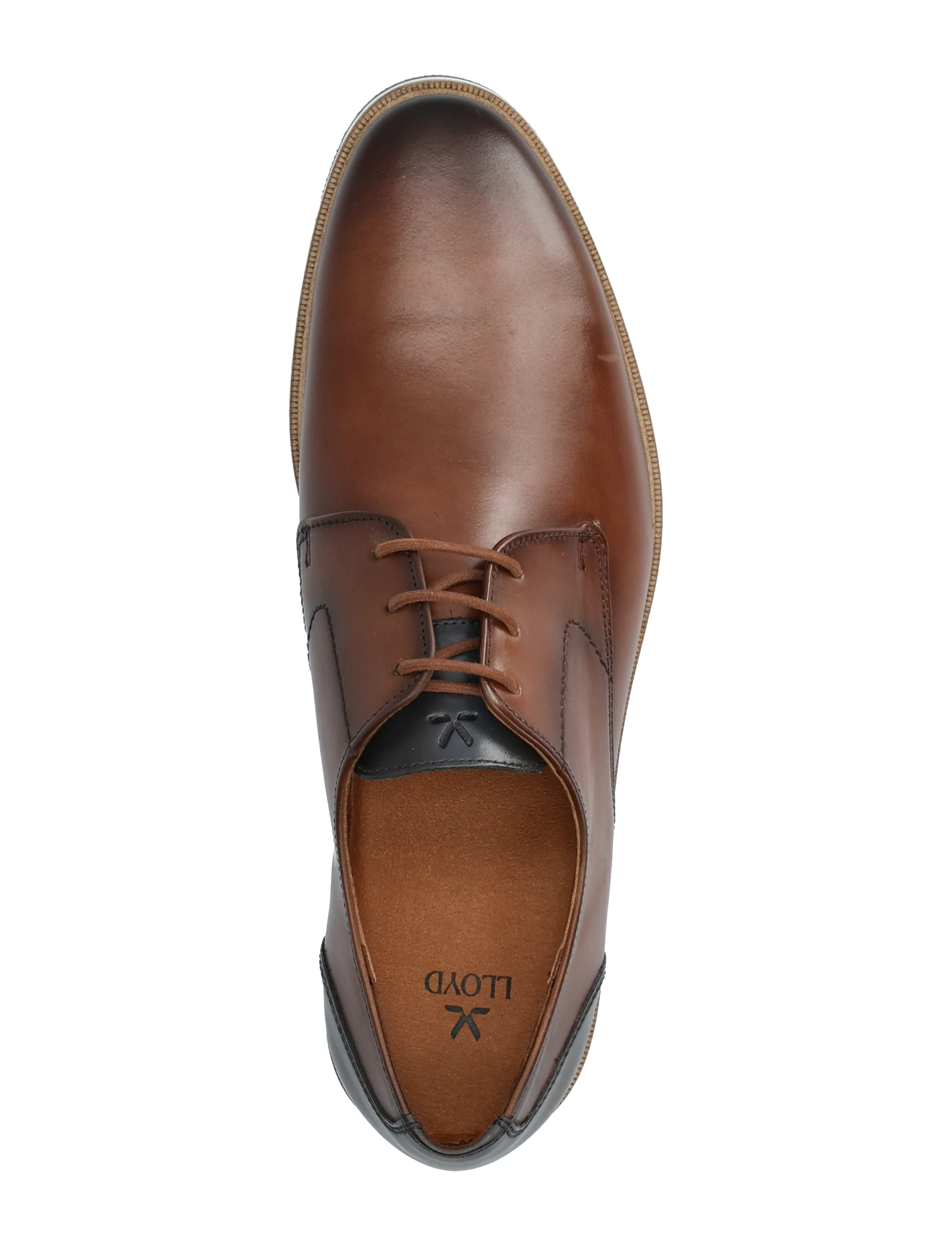 Lloyd - ALTON - derbyskor - 5 - dk.brown/navy - 3