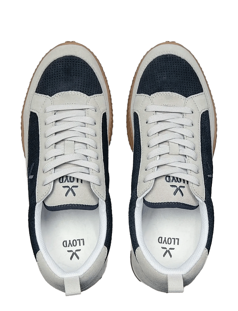 Lloyd - DRANNON - niedriger schnitt - 2 - warm grey/navy - 1