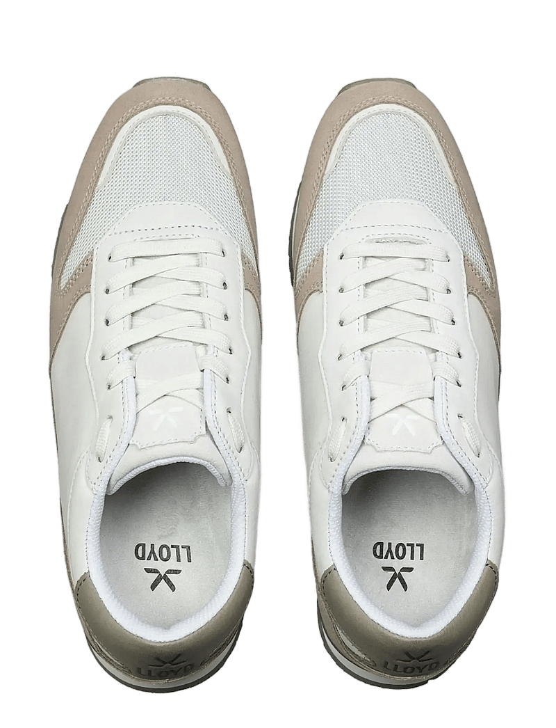 Lloyd - SWIFT - low tops - 2 - taupe/offwhite/salbei - 1