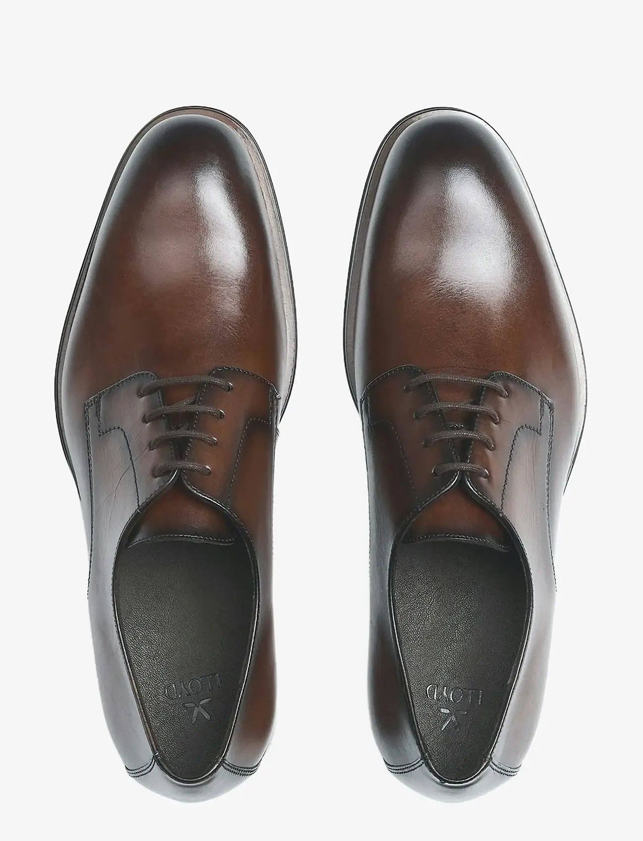 Lloyd - CORE PLUS 110 - derby kingad - 2 - cigar - 1