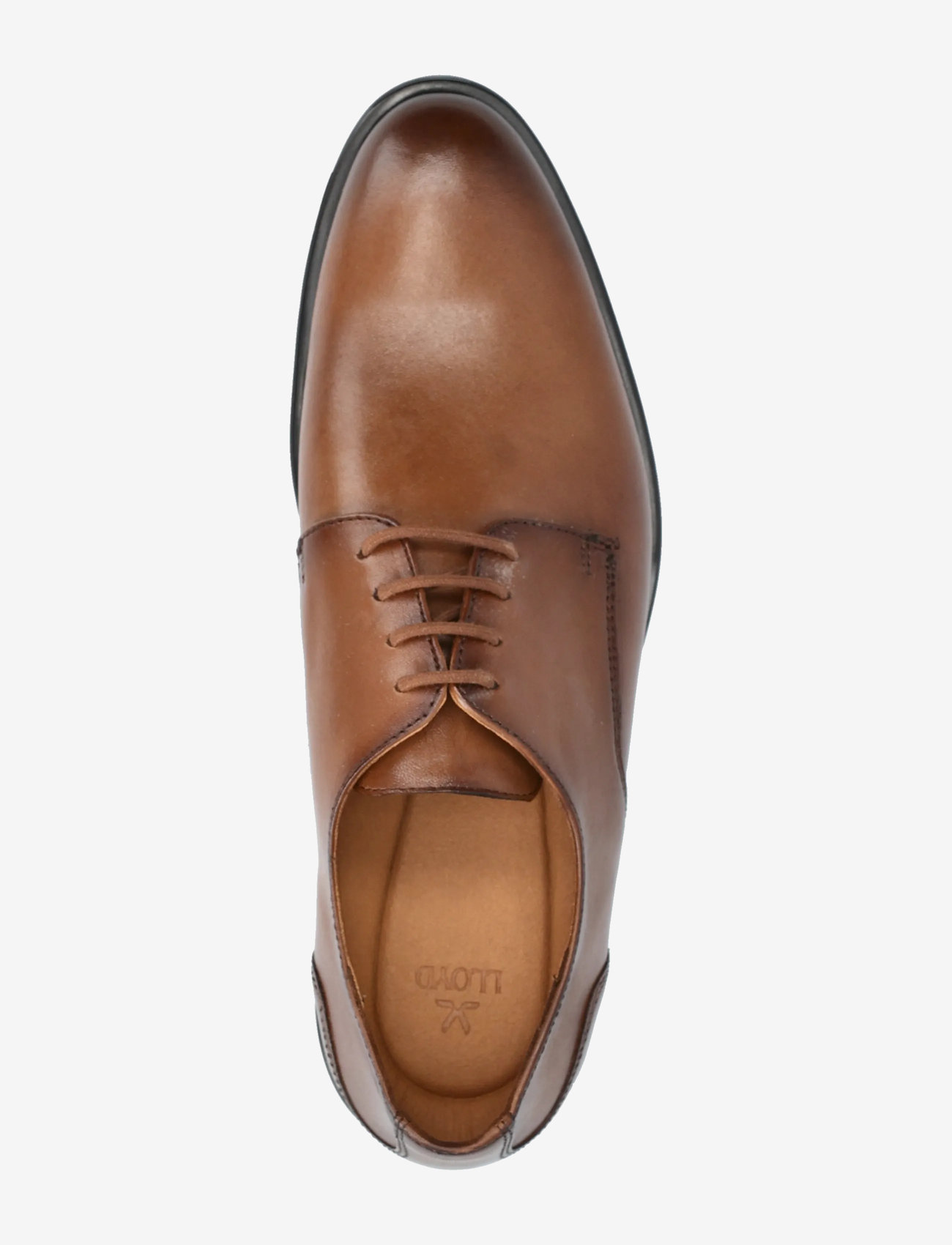 Lloyd - EEZY 110 - derbies - 3 - cognac - 3
