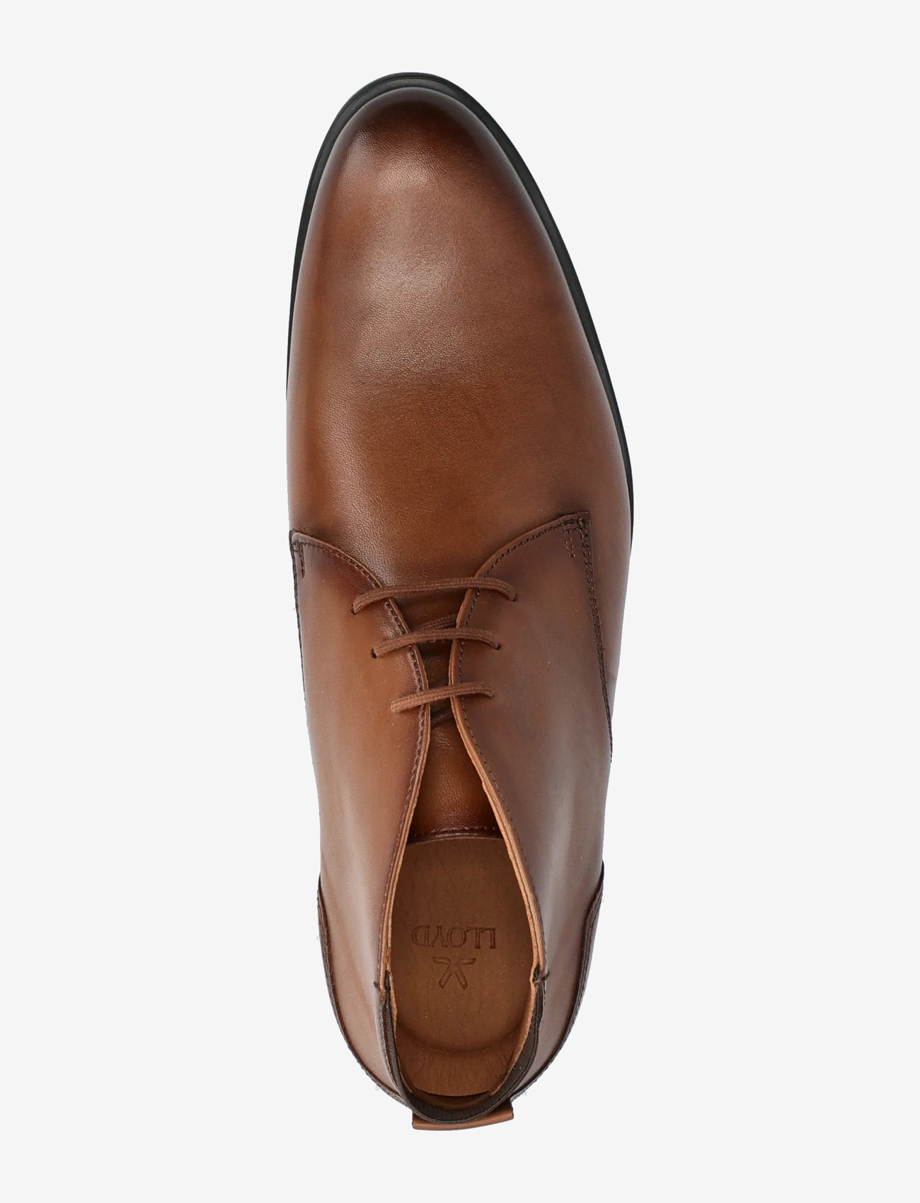 Lloyd - EEZY 325 - kängor med snörning - 3 - cognac - 3