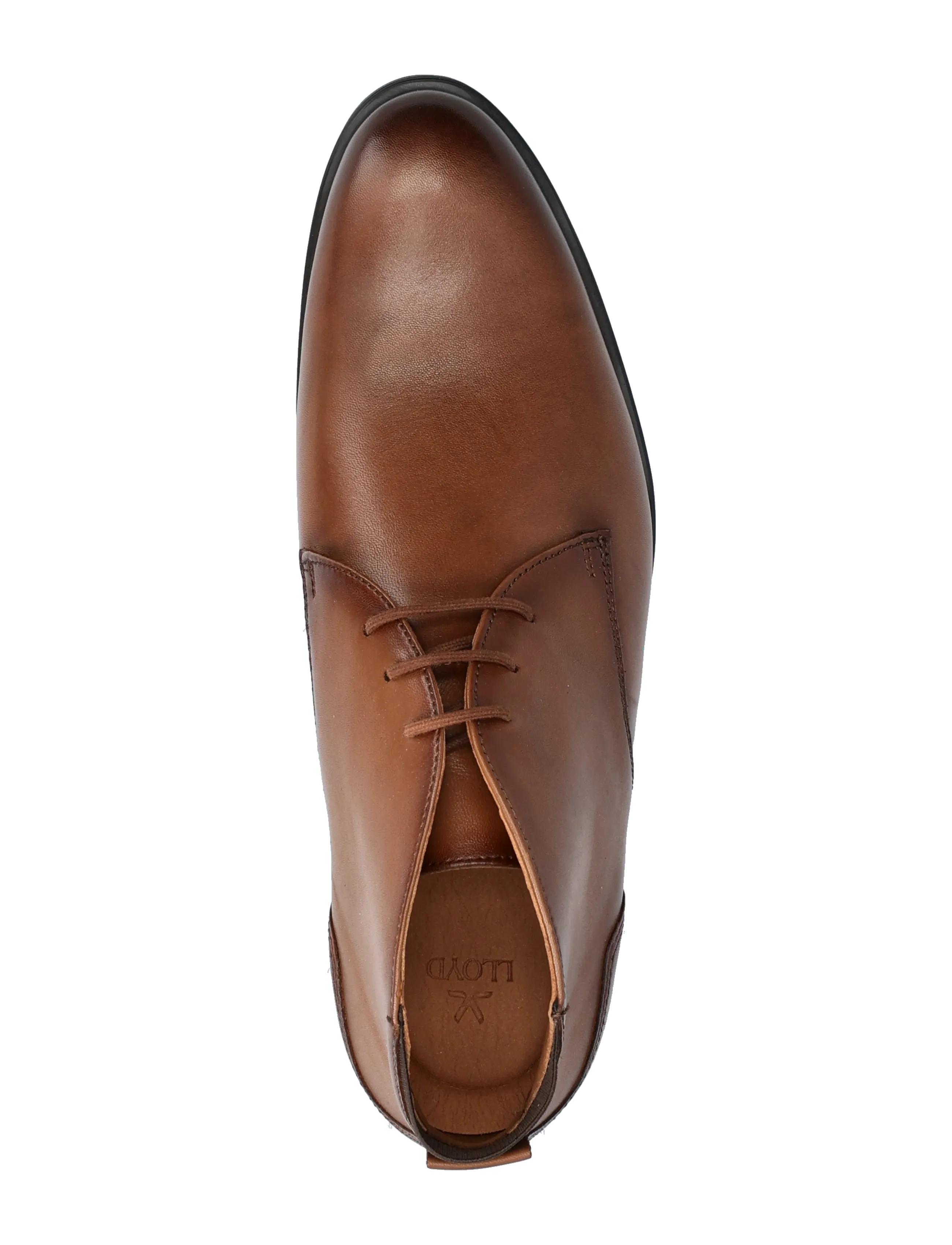 Lloyd - EEZY 325 - kängor med snörning - 3 - cognac - 3