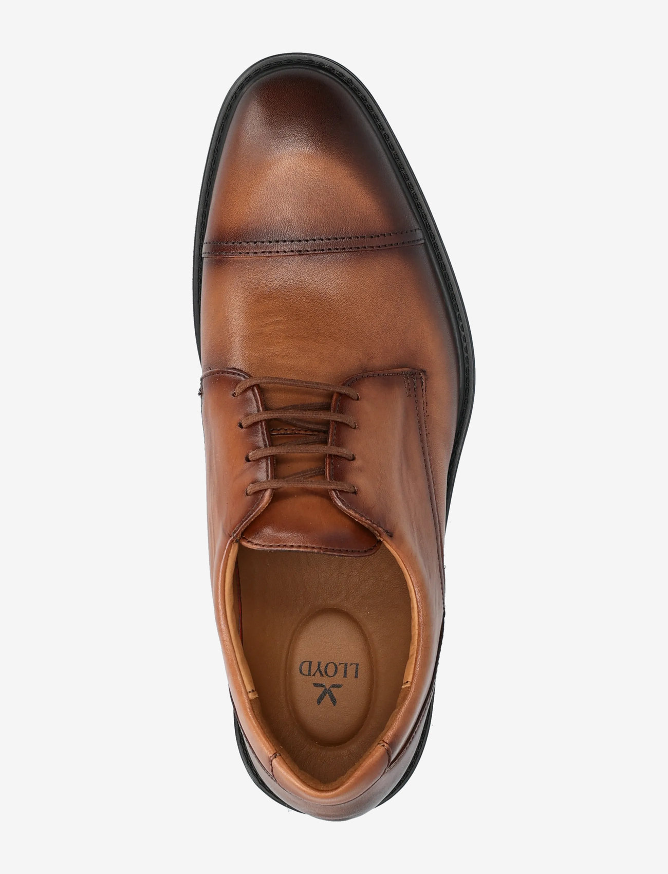 Lloyd - X-MOTION 150 - buty typu derby - 3 - cognac - 3
