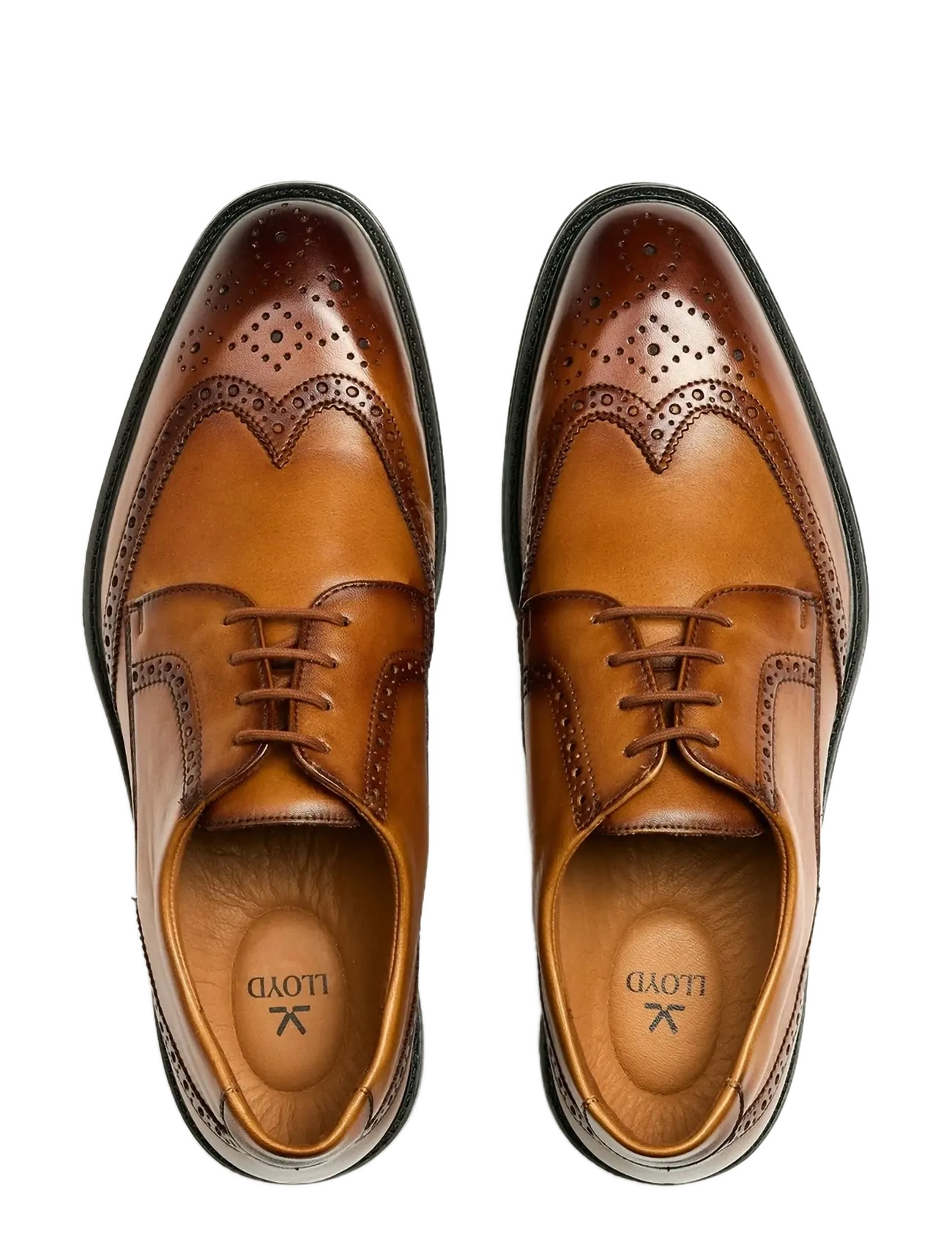 Lloyd - X-MOTION 140 - derby shoes - 3 - cognac - 1