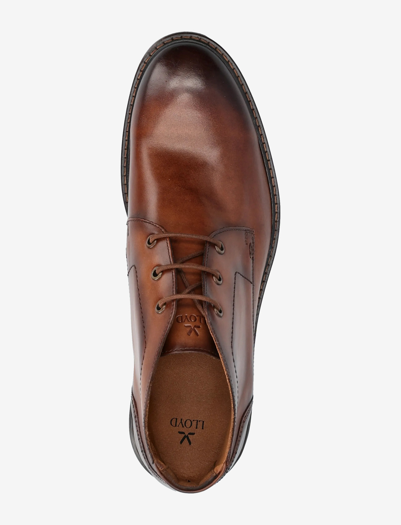 Lloyd - VIBE 325 - støvler med snøre - 3 - camel - 3