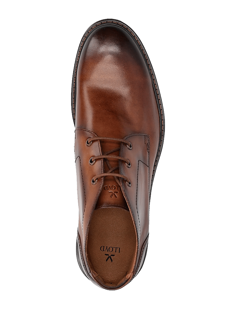 Lloyd - VIBE 325 - støvler med snøre - 3 - camel - 3