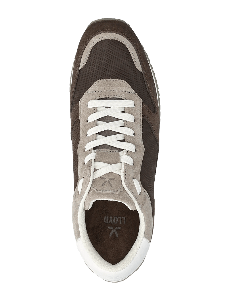 Lloyd - SWIFT - low tops - 2 - coffee/ghobi/white - 3