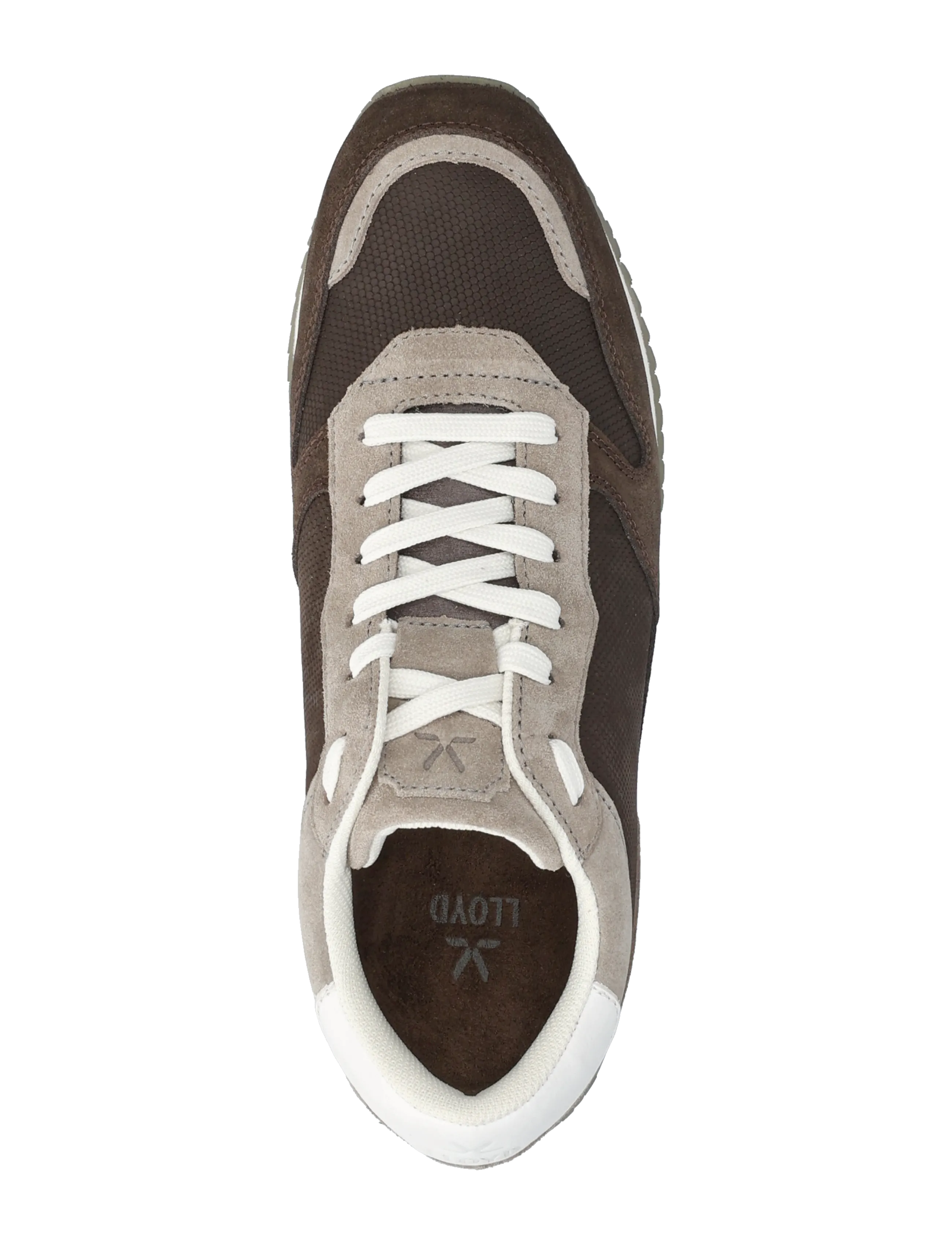 Lloyd - SWIFT - baskets basses - 2 - coffee/ghobi/white - 3