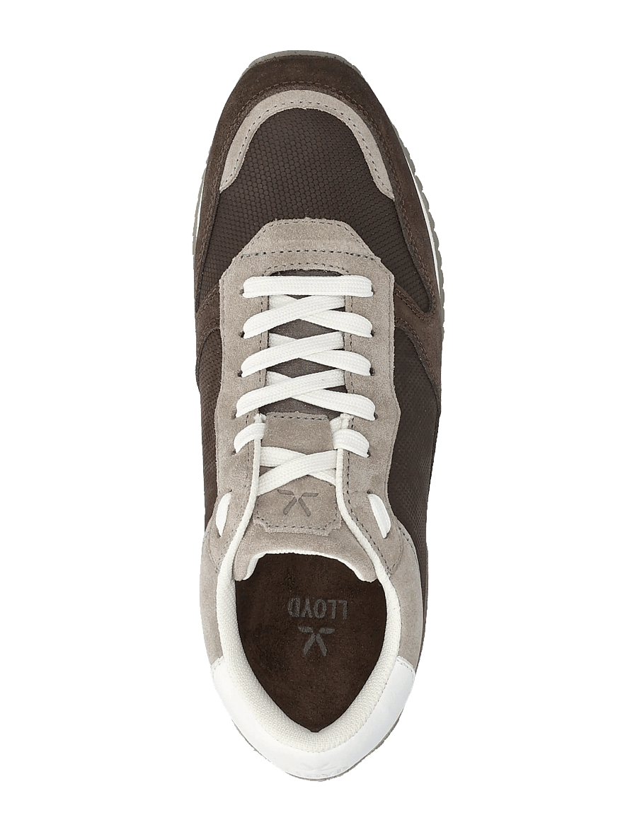 Lloyd - SWIFT - baskets basses - 2 - coffee/ghobi/white - 3