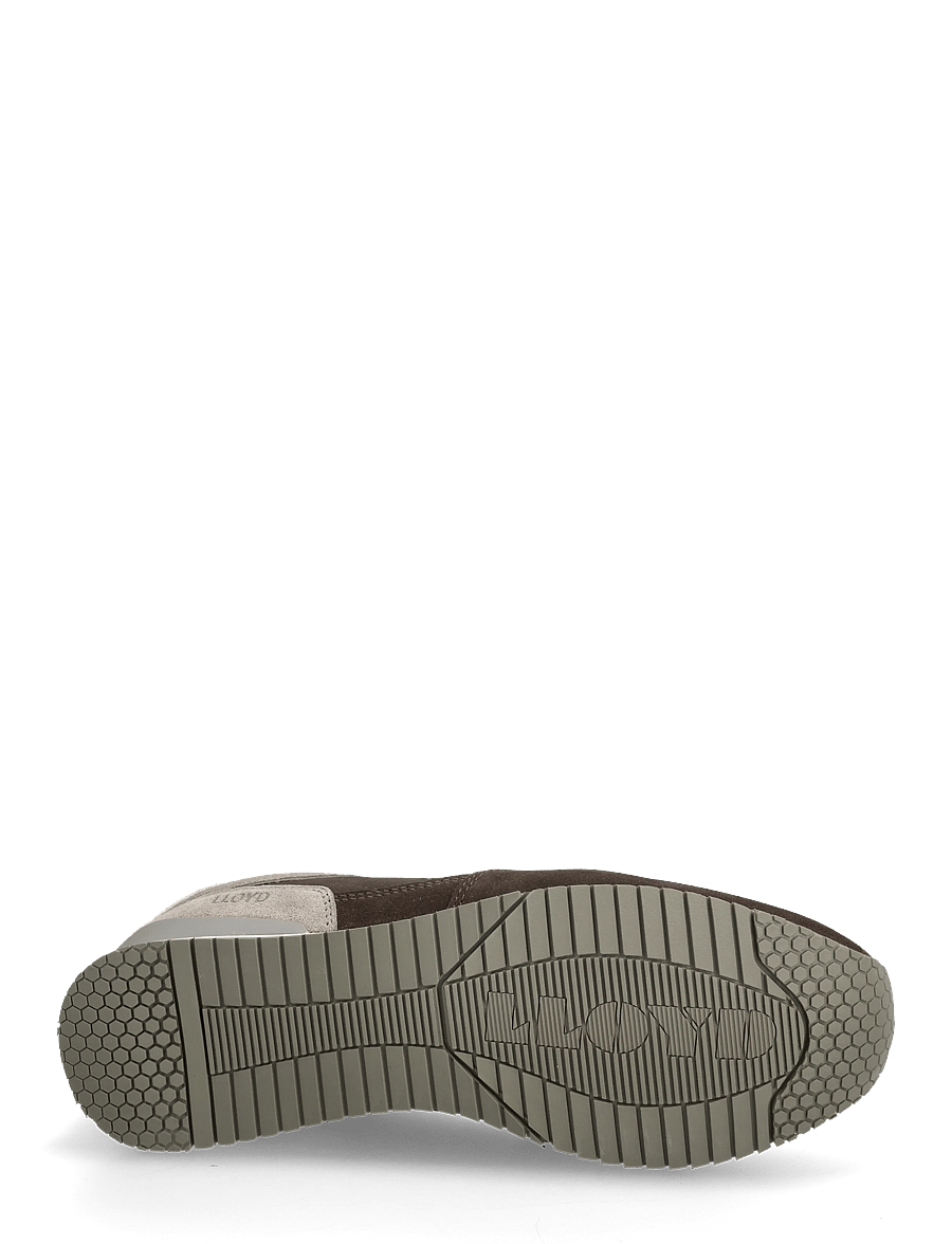 Lloyd - SWIFT - baskets basses - 2 - coffee/ghobi/white - 4