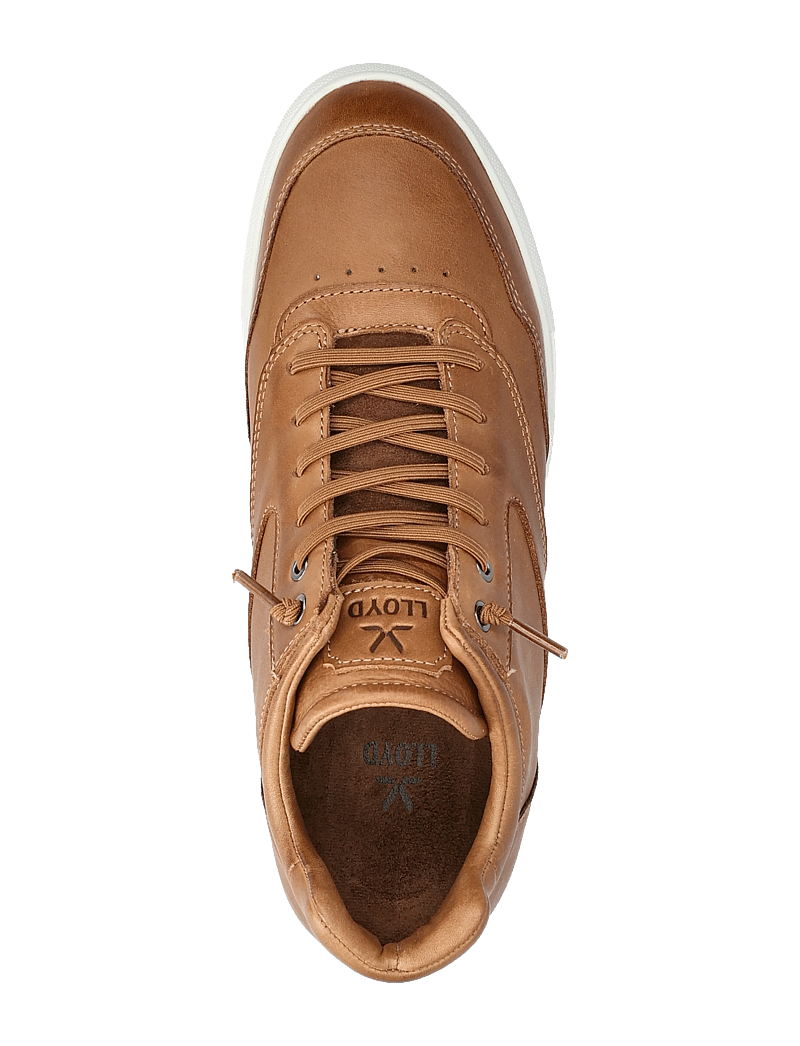 Lloyd - ARENA - höga sneakers - 3 - nut - 3