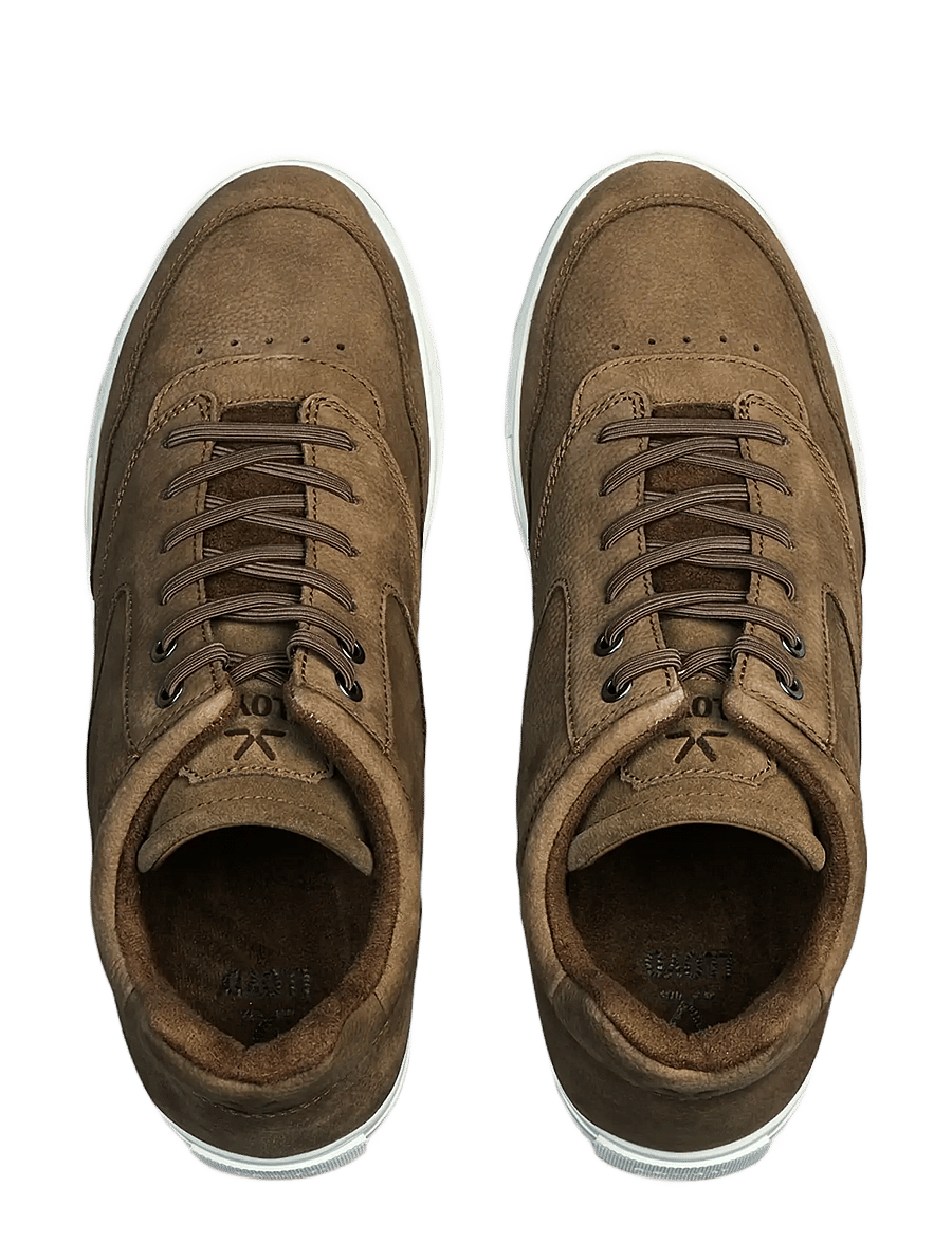 Lloyd - ARENA - high-top sneaker - 3 - light brown - 1