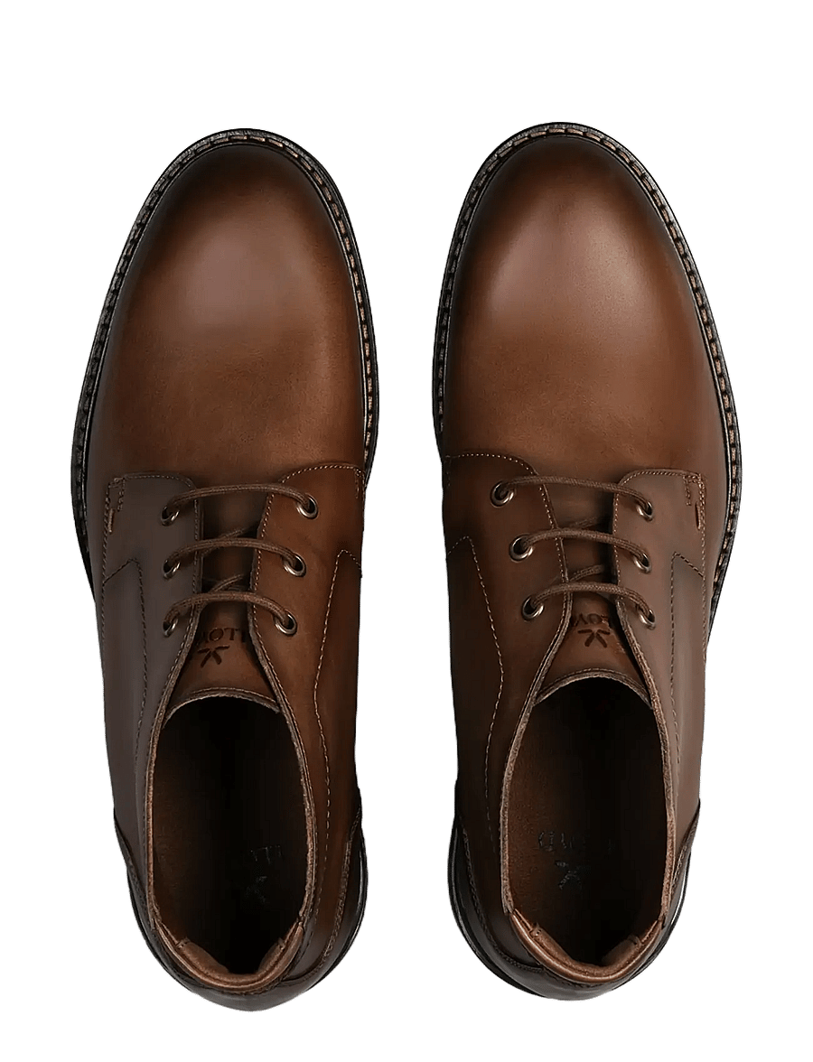 Lloyd - VIBE 325 - 3 - cognac - 1