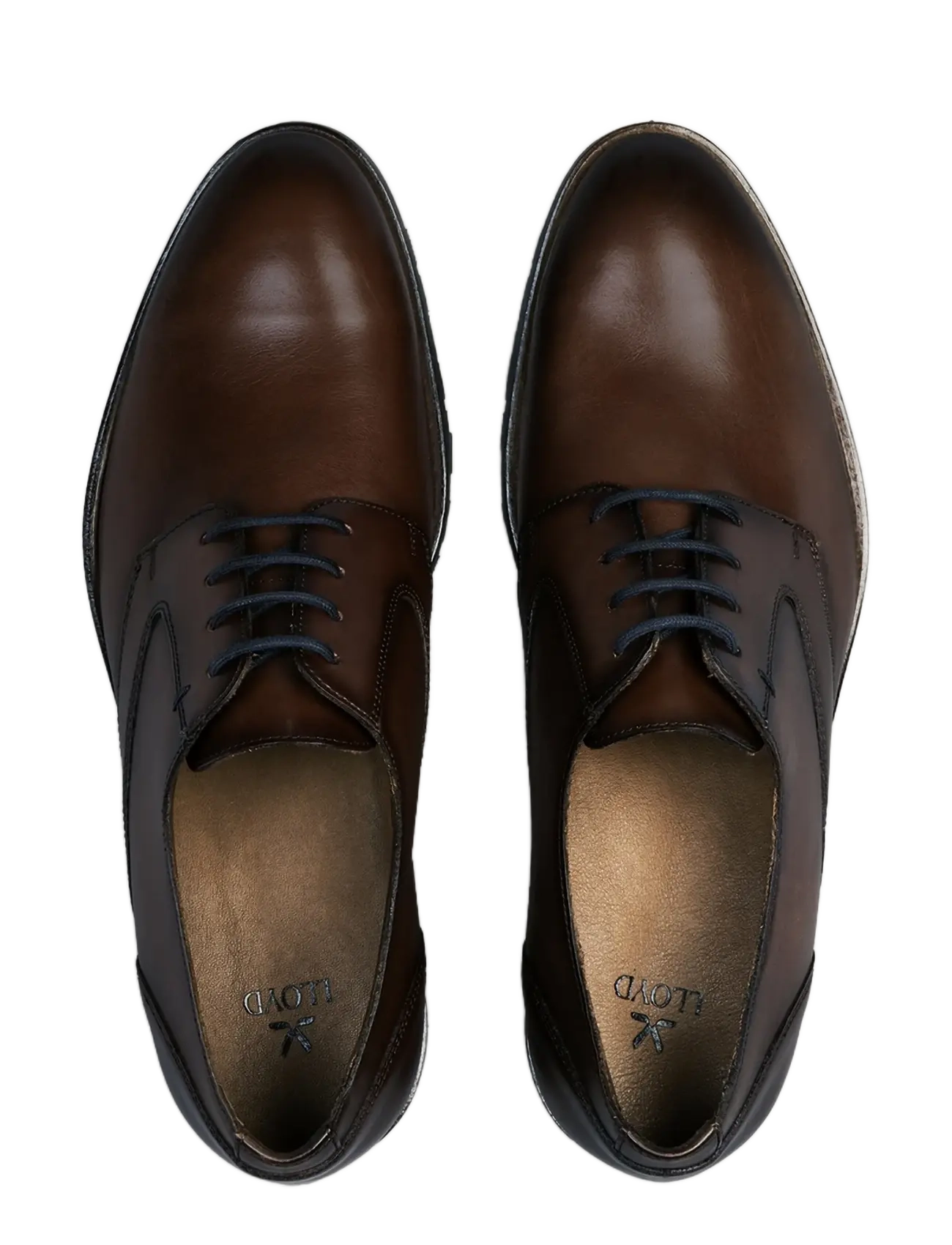 Lloyd - DRAMON 110 - derby kingad - 3 - cognac - 1