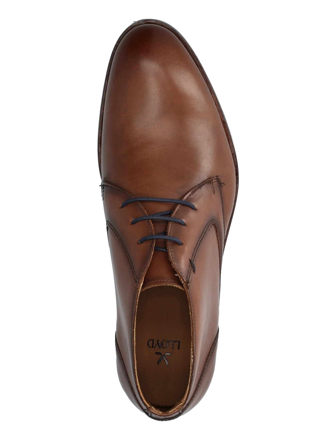 Lloyd - DRAMON 325 - 3 - cognac - 3