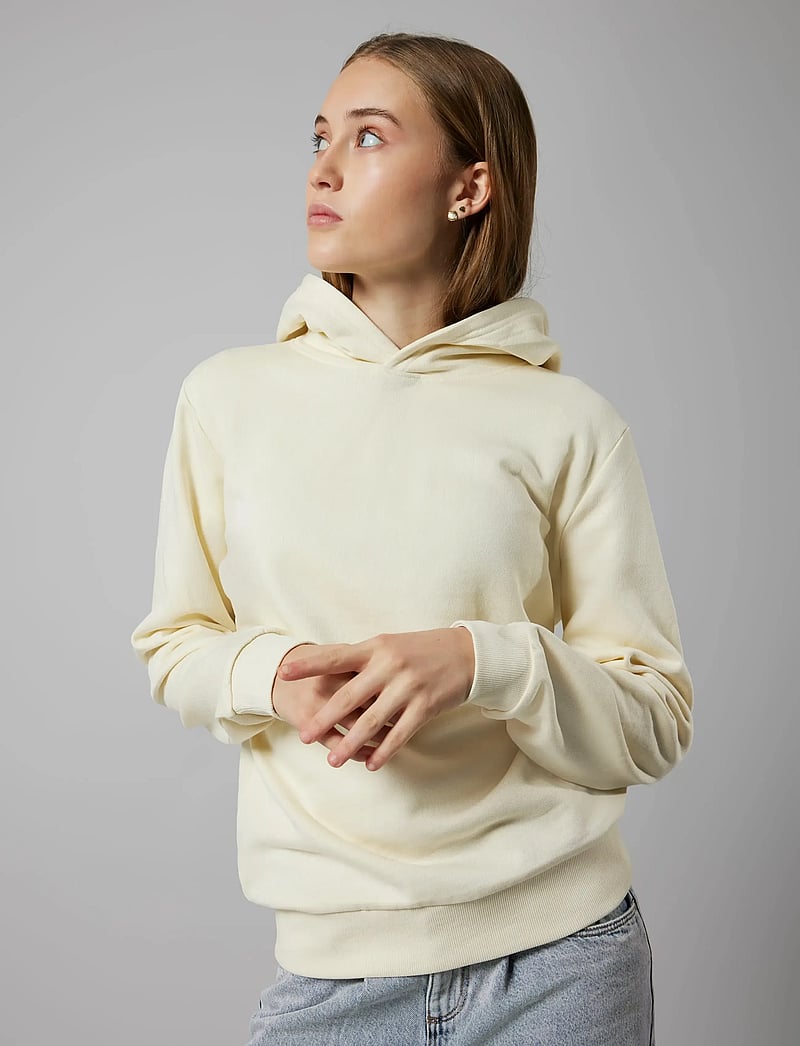 LMTD - NLNNIZU LS BRU SWEAT W. HOOD NOOS - huvtröjor - turtledove - 4