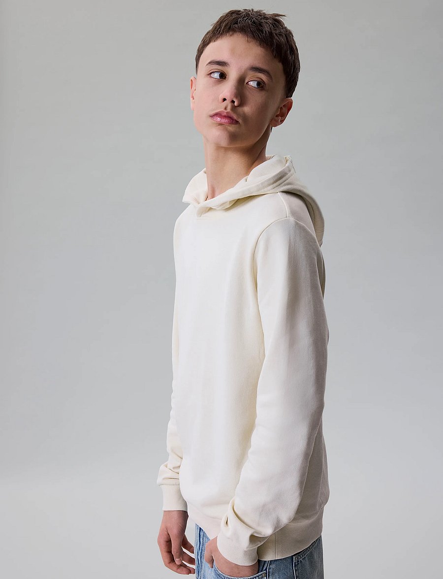 LMTD - NLNNIZU LS BRU SWEAT W. HOOD NOOS - huvtröjor - turtledove - 5