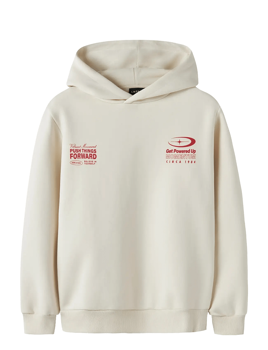 LMTD - NLNMOMENT LS BRU SWEAT W. HOOD - turtledove - 0