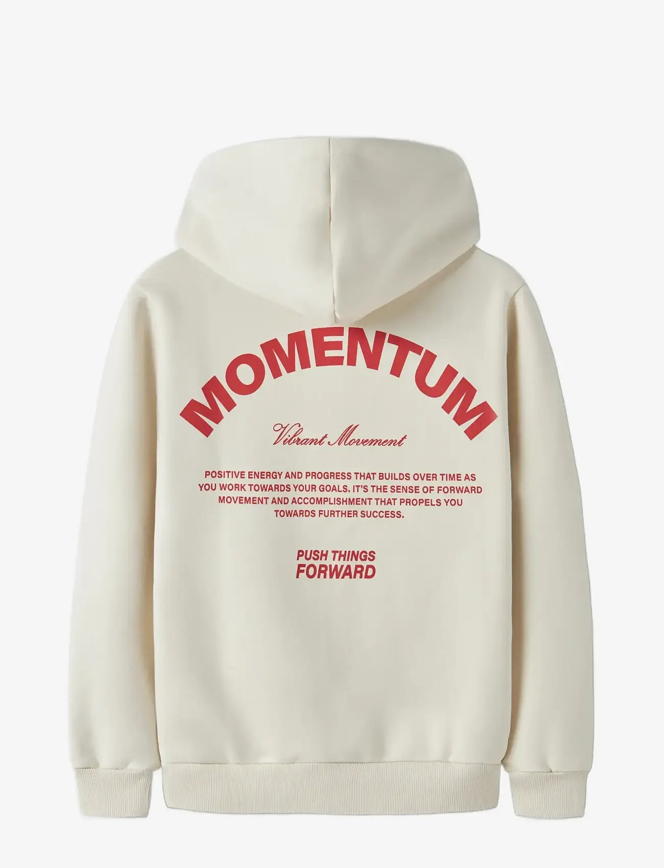 LMTD - NLNMOMENT LS BRU SWEAT W. HOOD - dressipluusid - turtledove - 1
