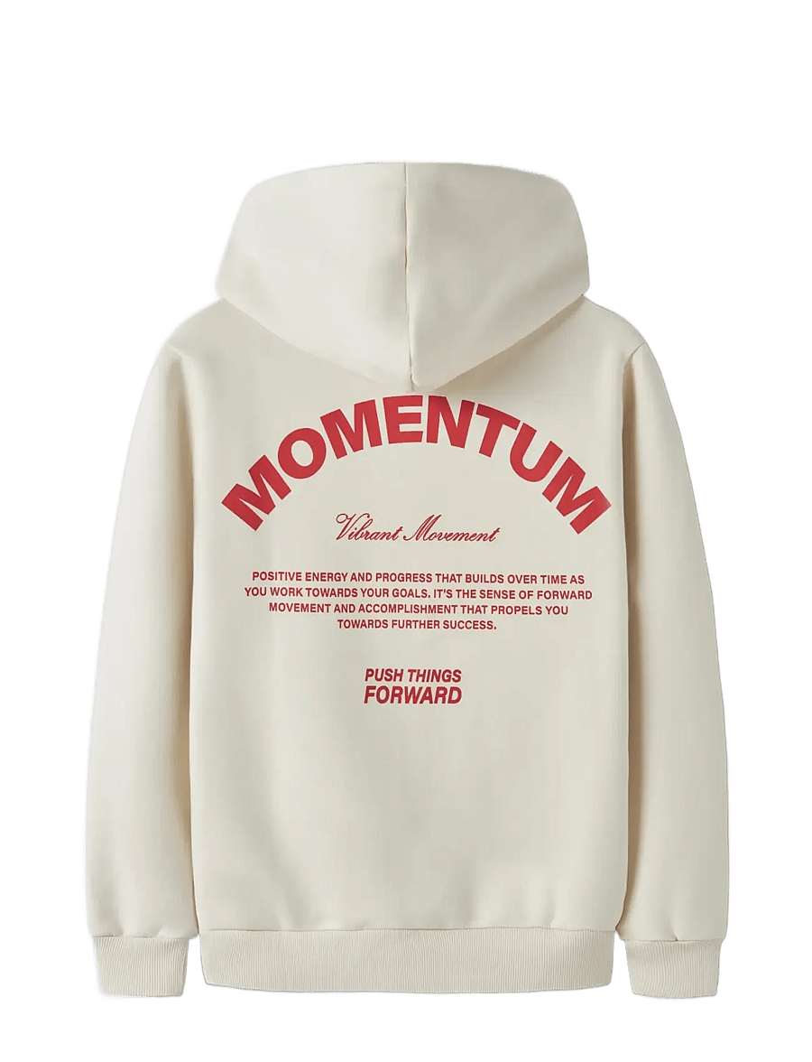LMTD - NLNMOMENT LS BRU SWEAT W. HOOD - turtledove - 1