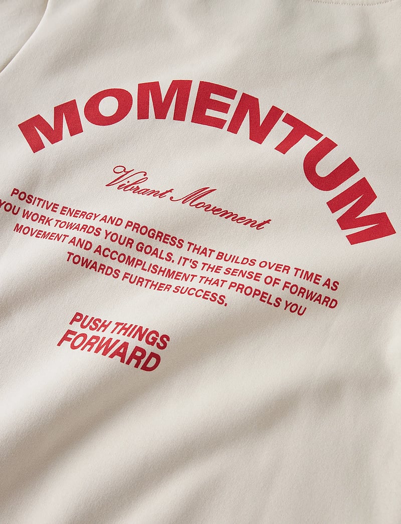 LMTD - NLNMOMENT LS BRU SWEAT W. HOOD - dressipluusid - turtledove - 2