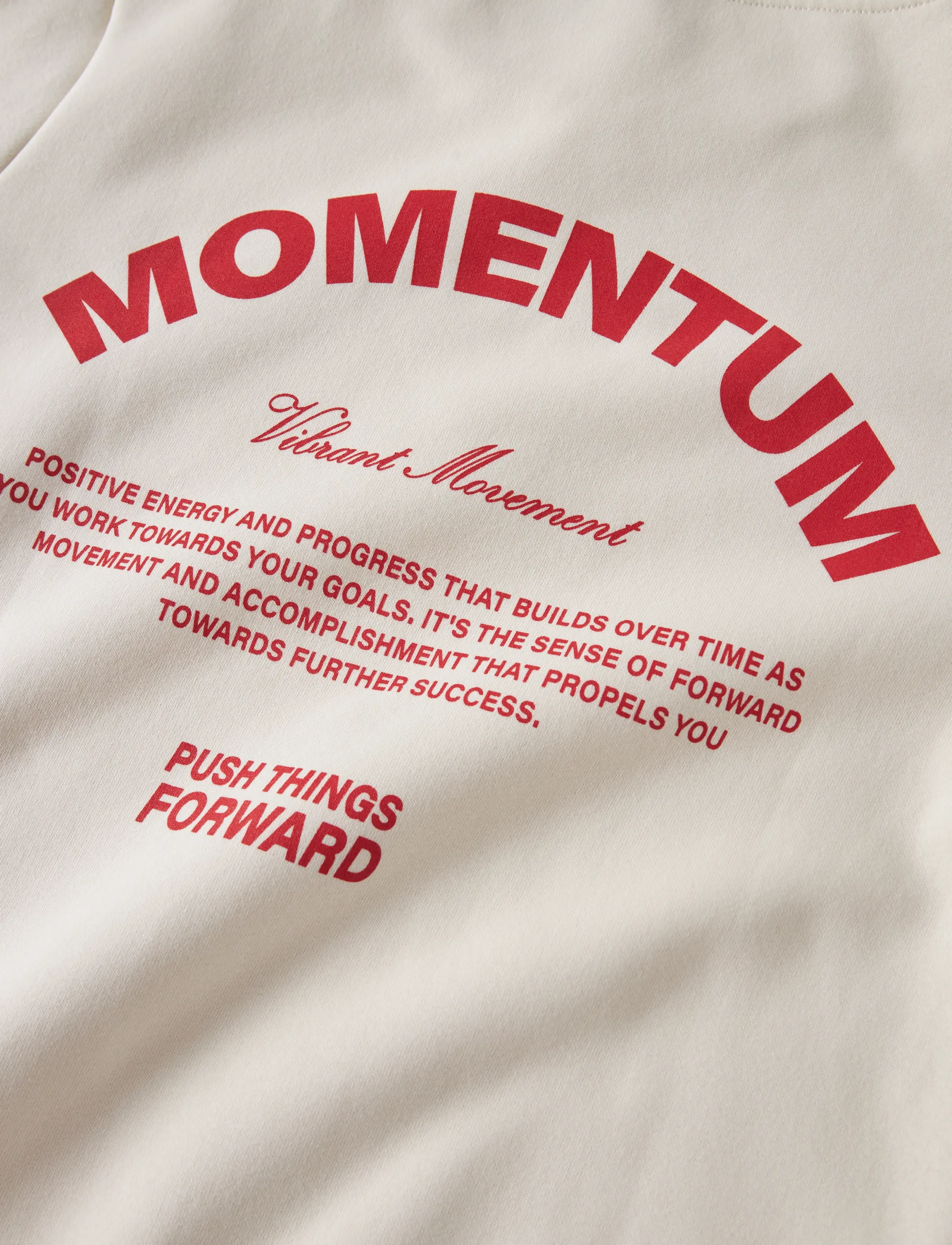 LMTD - NLNMOMENT LS BRU SWEAT W. HOOD - turtledove - 2