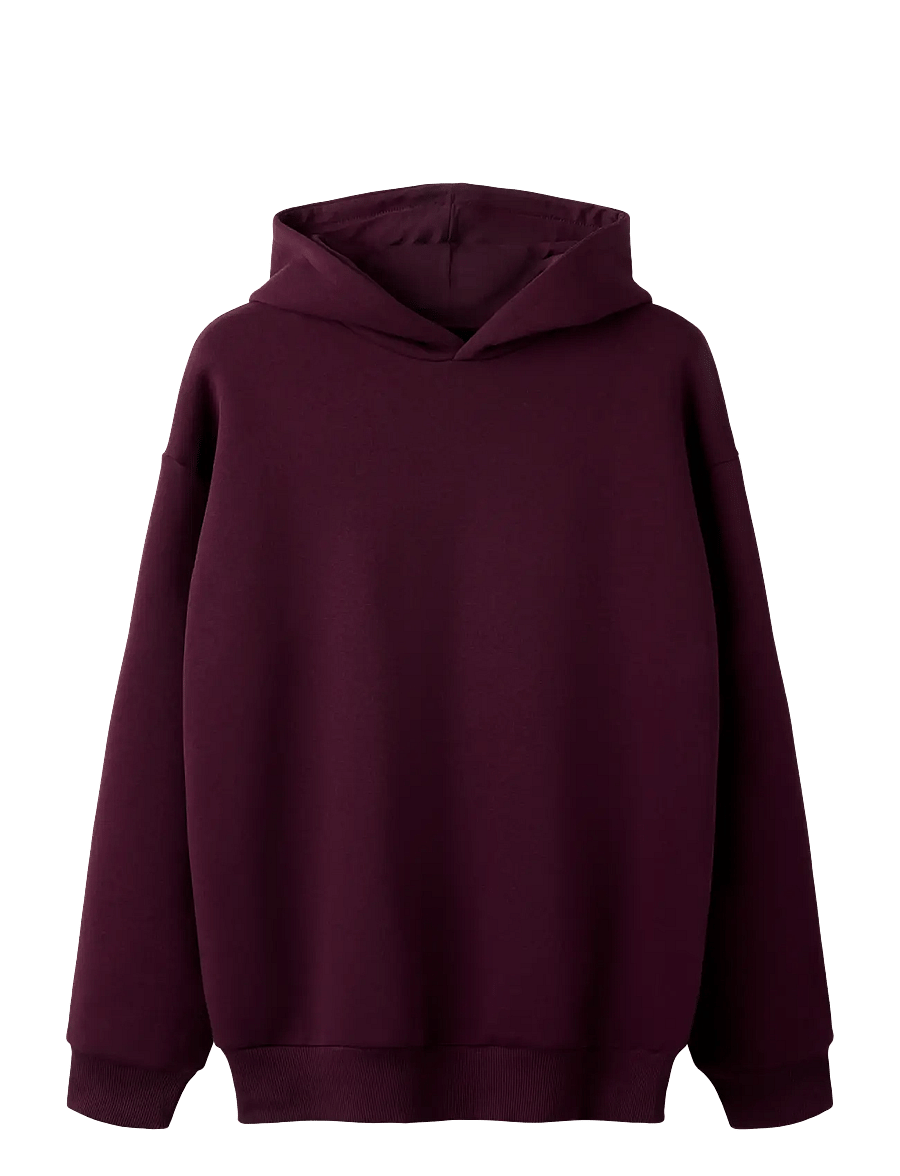 LMTD - NLNRENAR LS BRU LOOSE SWEAT W. HOOD - hættetrøjer - fig - 1