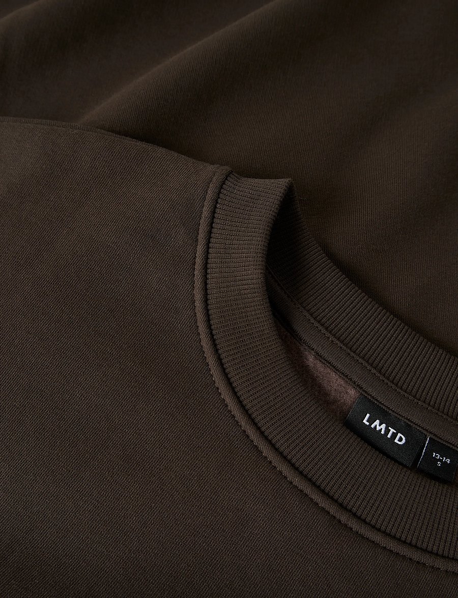LMTD - NLNNEVO LOOSE LS BRU O-NECK SWEAT - delicioso - 3
