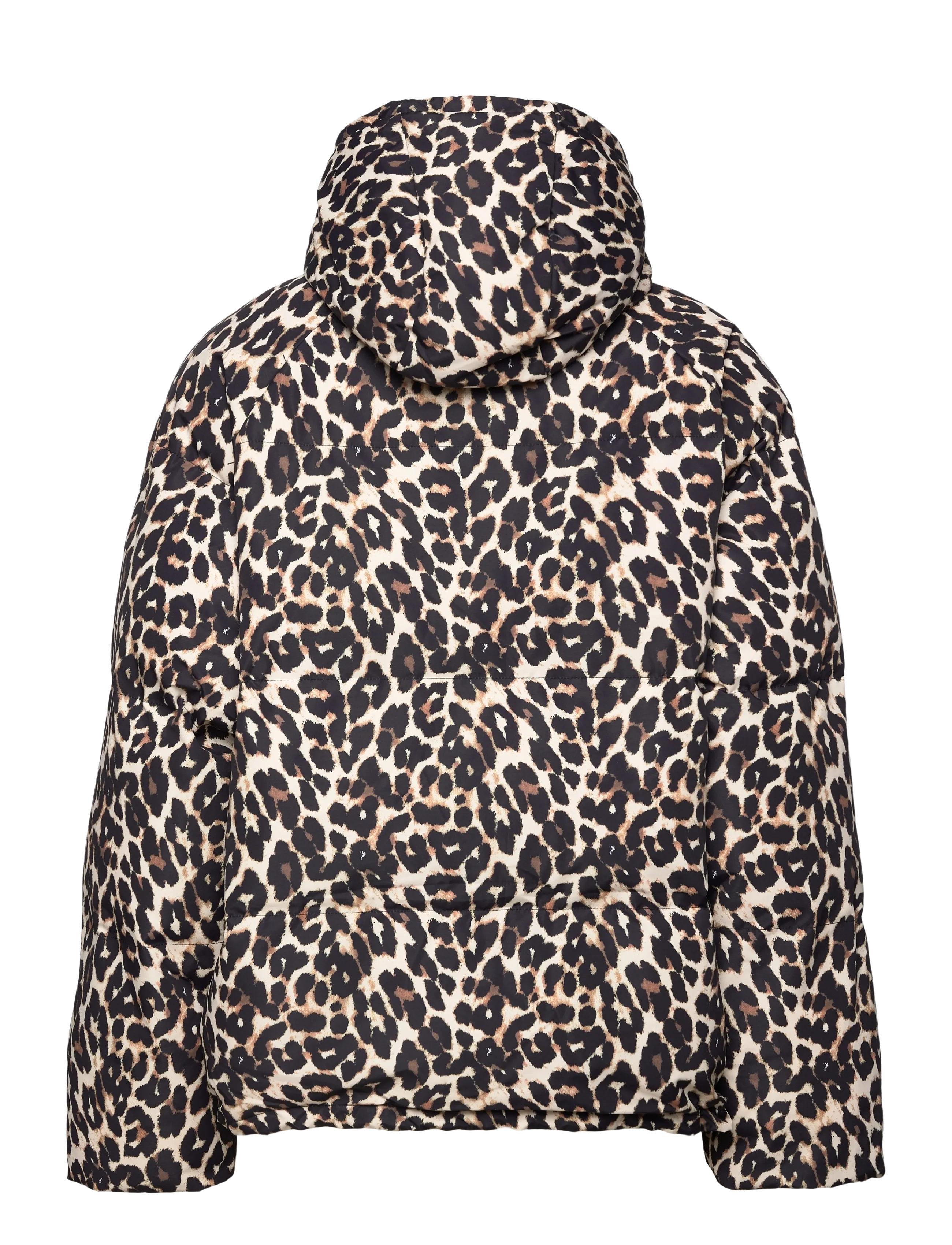 Shelbyll Jacket 2