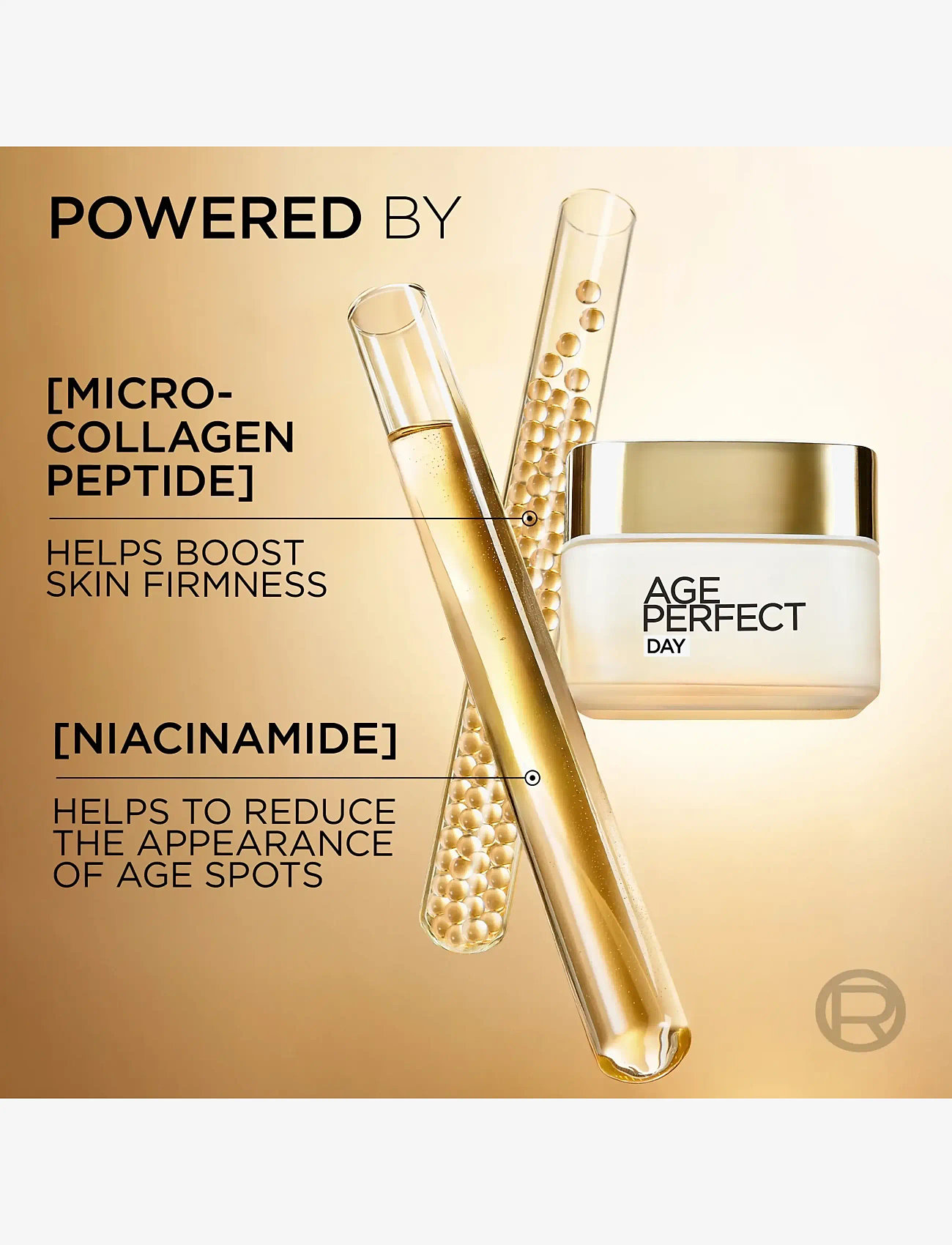 L'Oréal Paris - L'Oréal Paris Age Perfect Classic Day Cream for normal skin 50 ml - päevakreemid - clear - 4