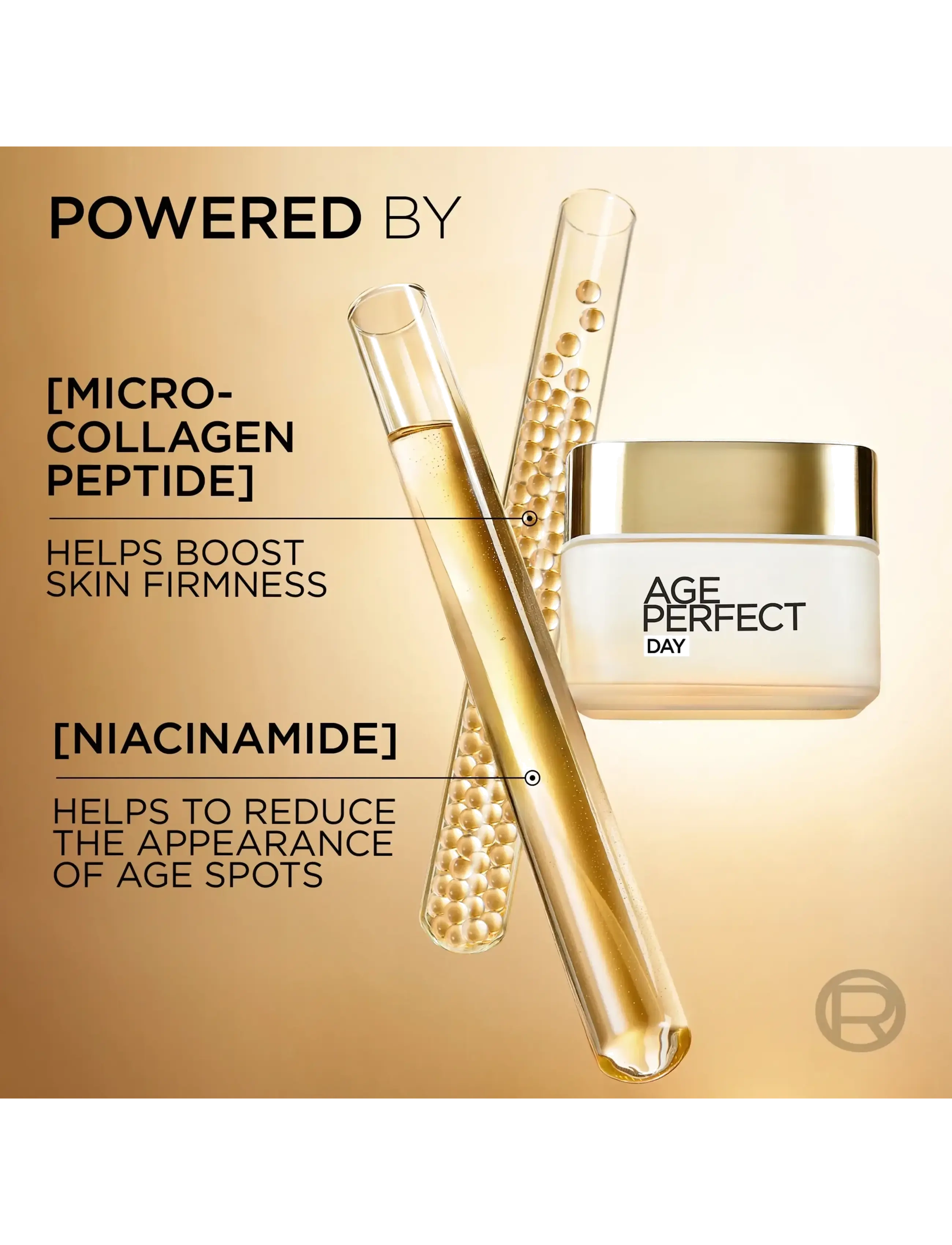 L'Oréal Paris - L'Oréal Paris Age Perfect Classic Day Cream for normal skin 50 ml - dienas krēmi - clear - 4