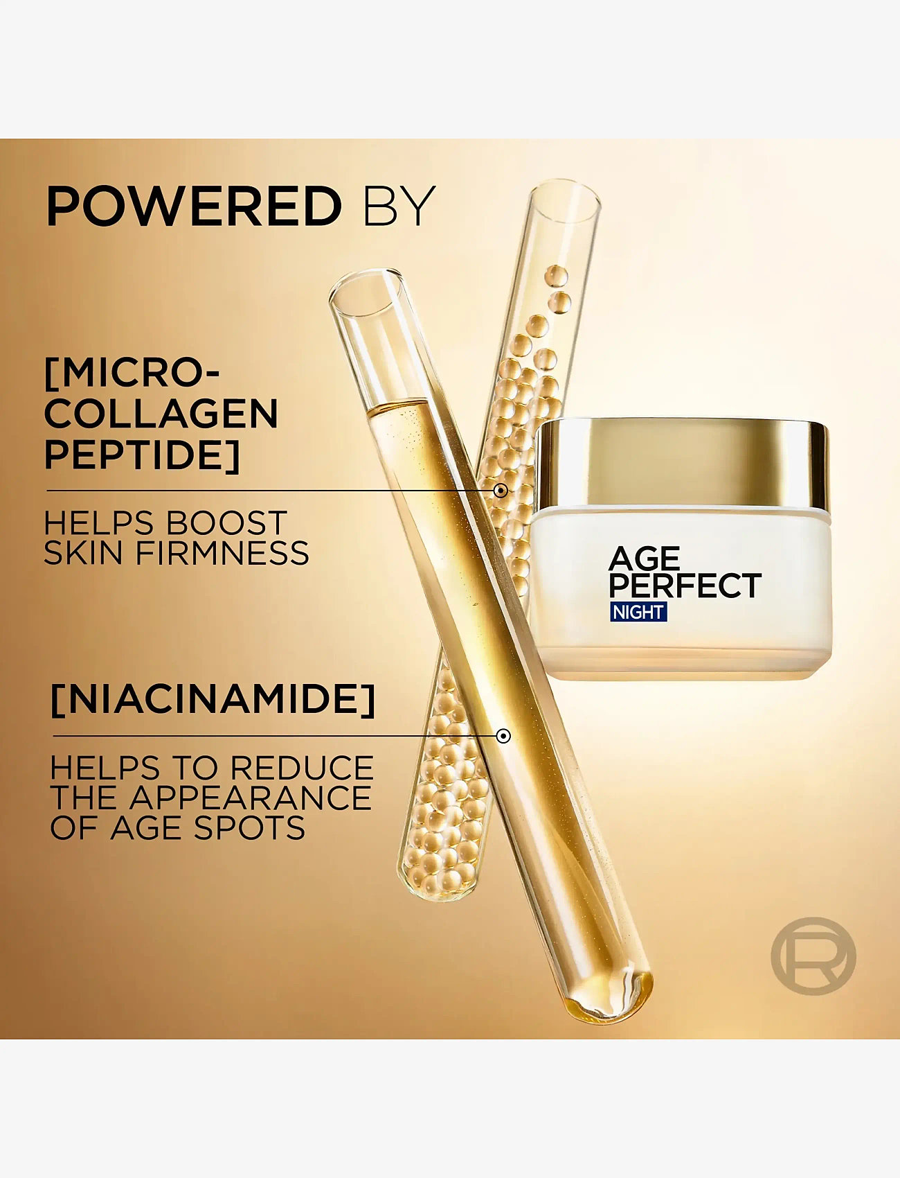 L'Oréal Paris - L'Oréal Paris Age Perfect Classic Night Cream for normal skin 50 ml - nattkräm - clear - 2