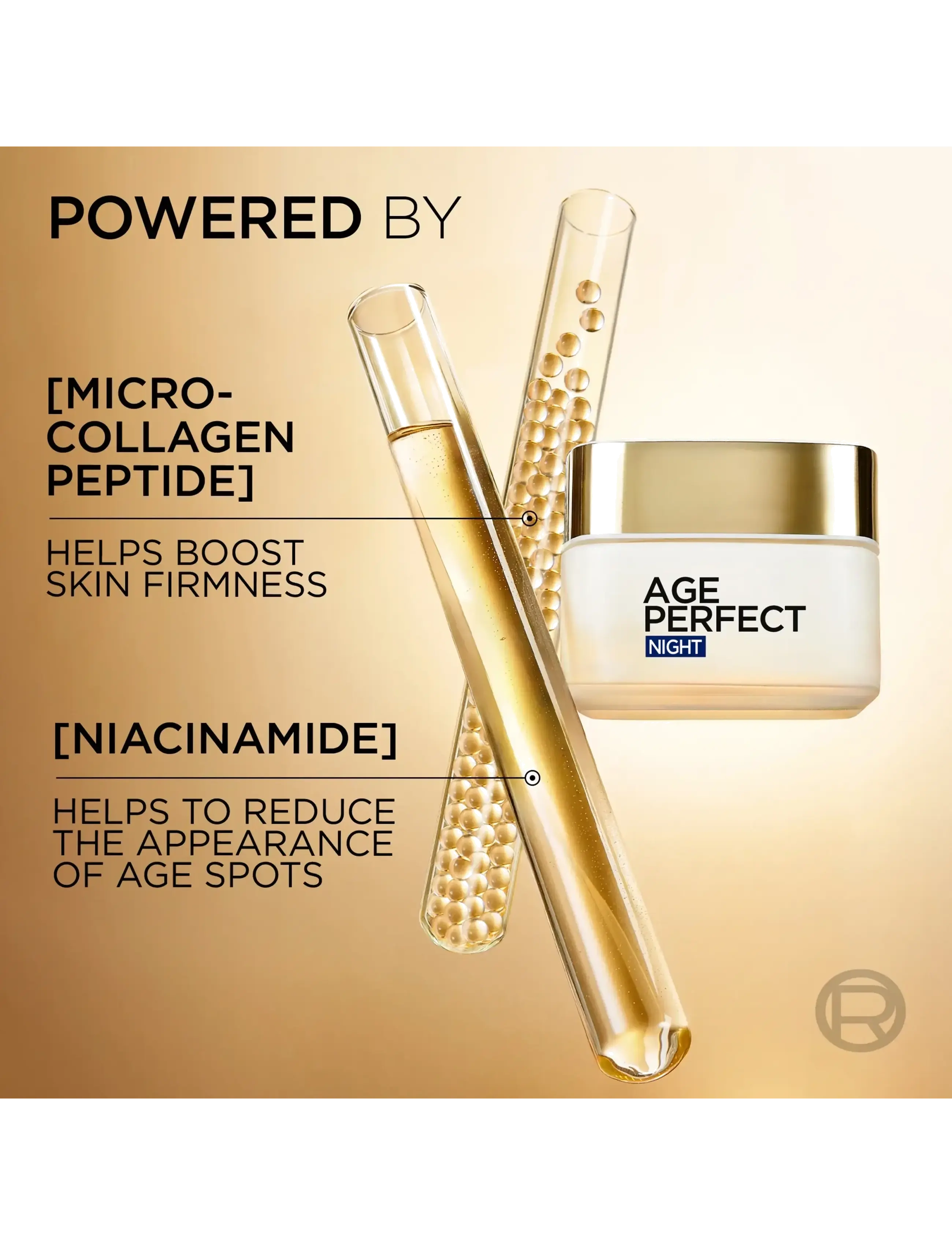 L'Oréal Paris - L'Oréal Paris Age Perfect Classic Night Cream for normal skin 50 ml - natcremer - clear - 2