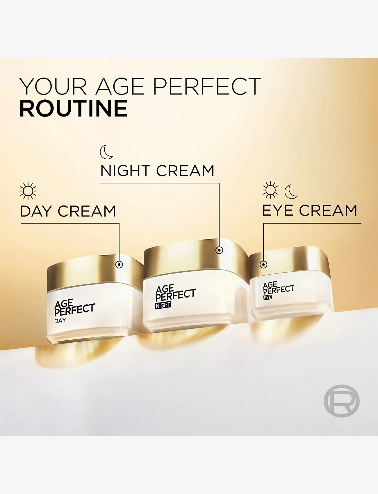 L'Oréal Paris - L'Oréal Paris Age Perfect Classic Night Cream for normal skin 50 ml - nattkräm - clear - 4