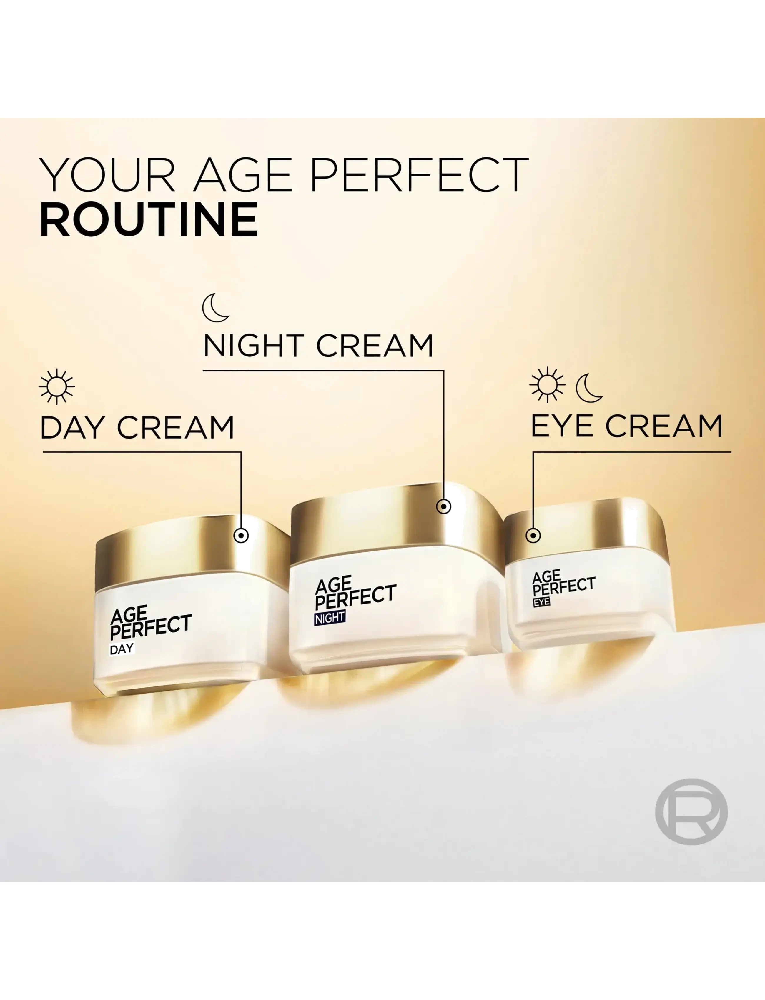 L'Oréal Paris - L'Oréal Paris Age Perfect Classic Night Cream for normal skin 50 ml - natcremer - clear - 4