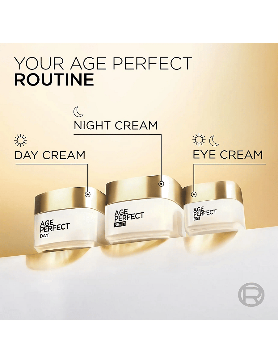 L'Oréal Paris - L'Oréal Paris Age Perfect Classic Night Cream for normal skin 50 ml - Öökreem - clear - 4