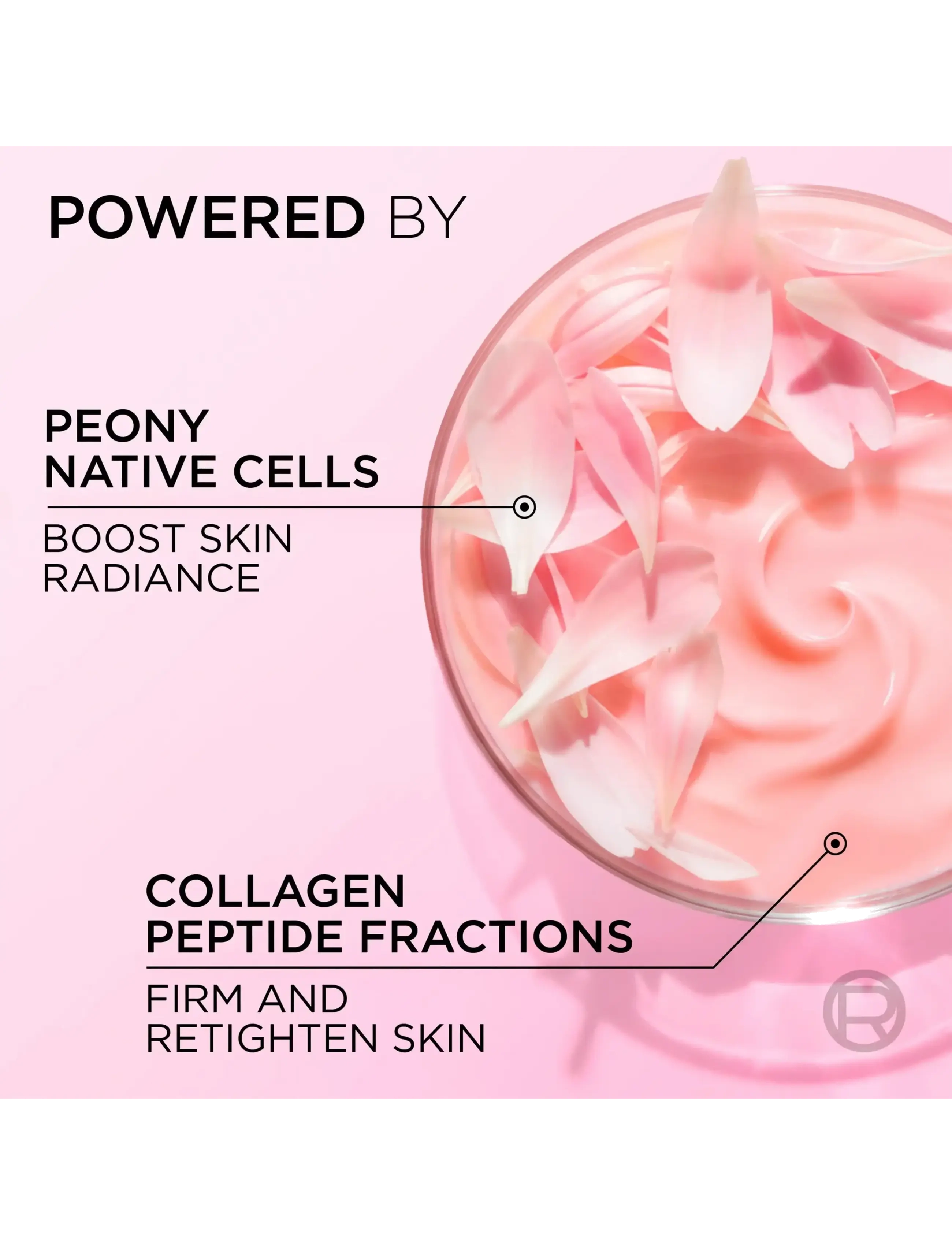 L'Oréal Paris - L'Oréal Paris Age Perfect Rosy Radiance Day Cream for normal skin 50 ml - dagcremer - clear - 5