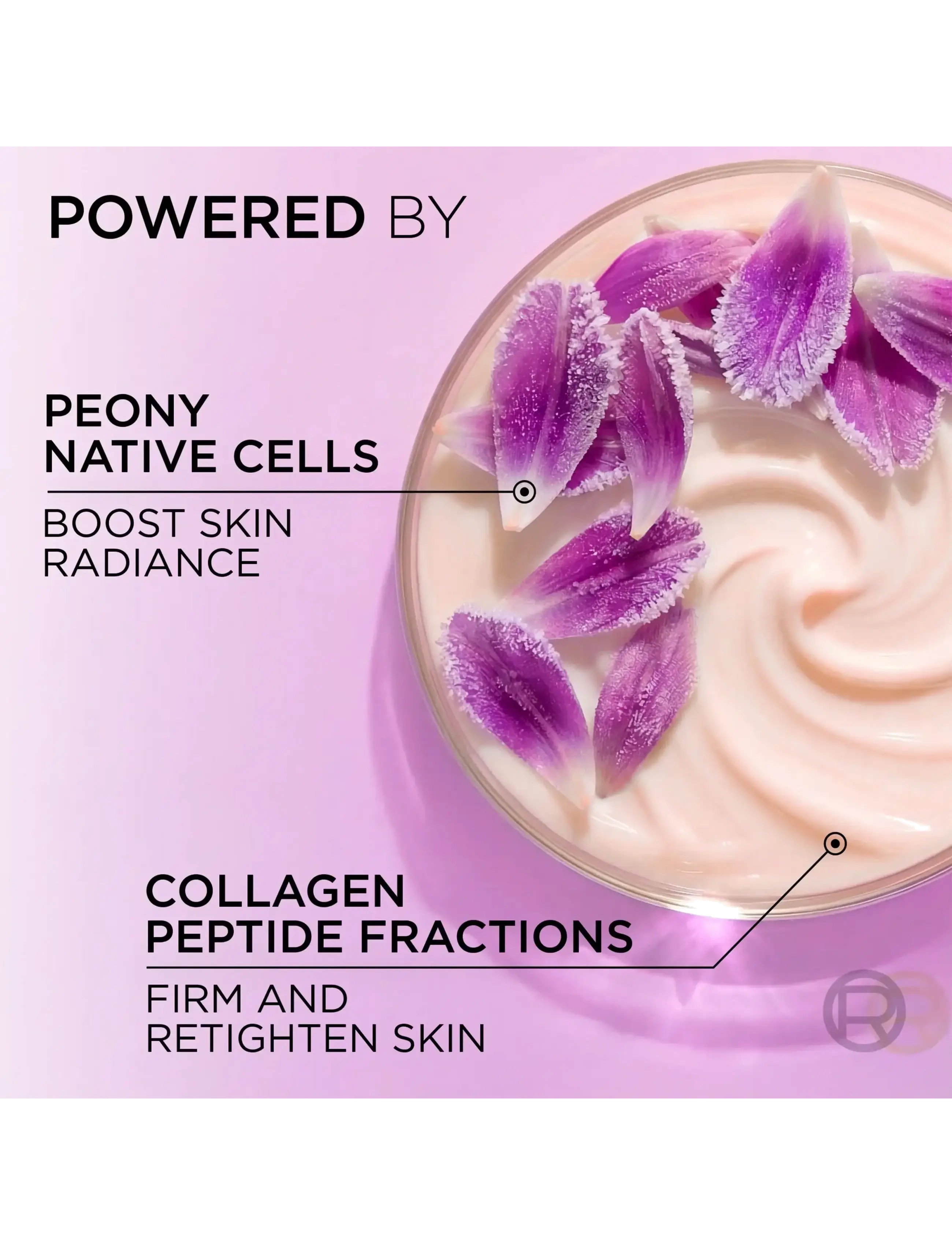 L'Oréal Paris - L'Oréal Paris Age Perfect Rosy Radiance Night Cream for normal skin 50 ml - nattkrem - clear - 5
