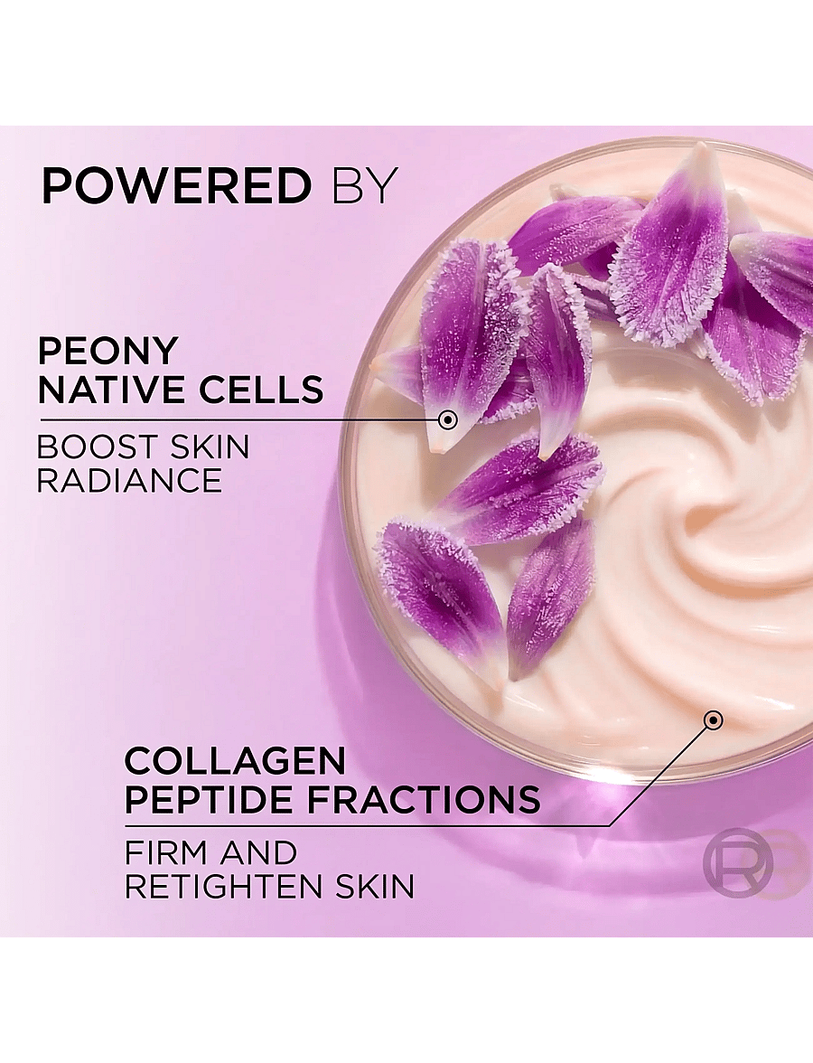 L'Oréal Paris - L'Oréal Paris Age Perfect Rosy Radiance Night Cream for normal skin 50 ml - Öökreem - clear - 5