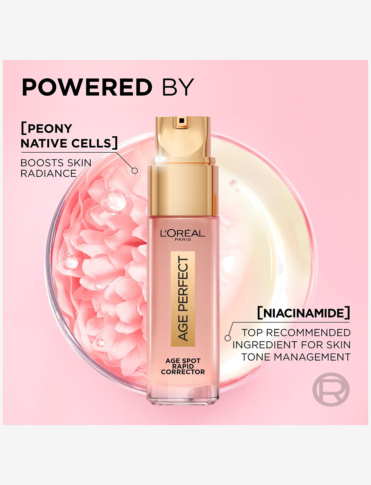 L'Oréal Paris - L'Oréal Paris, Age Perfect, Serum to reduce visibility of age spots, 30 ml - serum - golden age spot corrector - 5