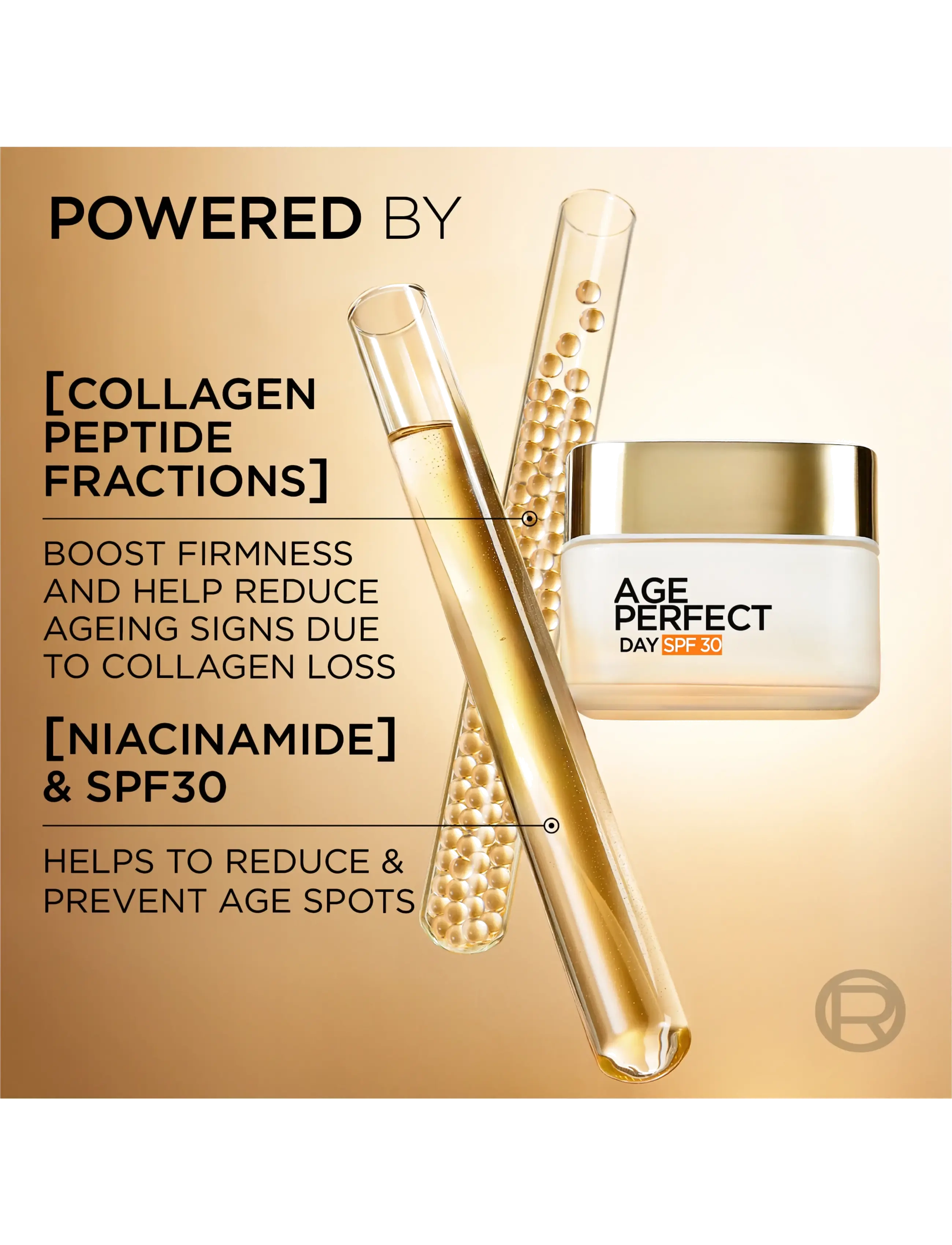L'Oréal Paris - L'Oréal Paris Age Perfect Collagen Expert Anti-Sagging Cream SPF30 50ml - dagcremer - clear - 3