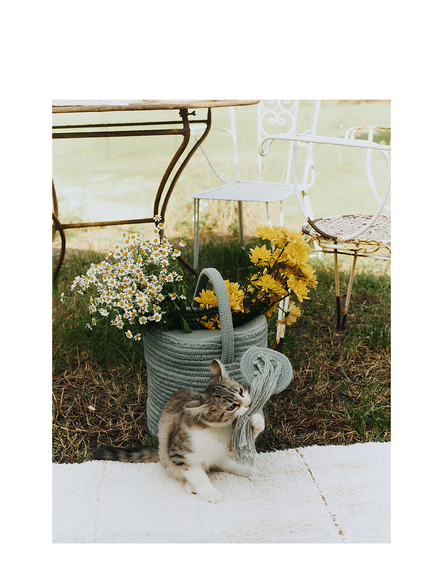 Lorena Canals - Basket Water Can - aufbewahrungskörbe - vintage blue - 2