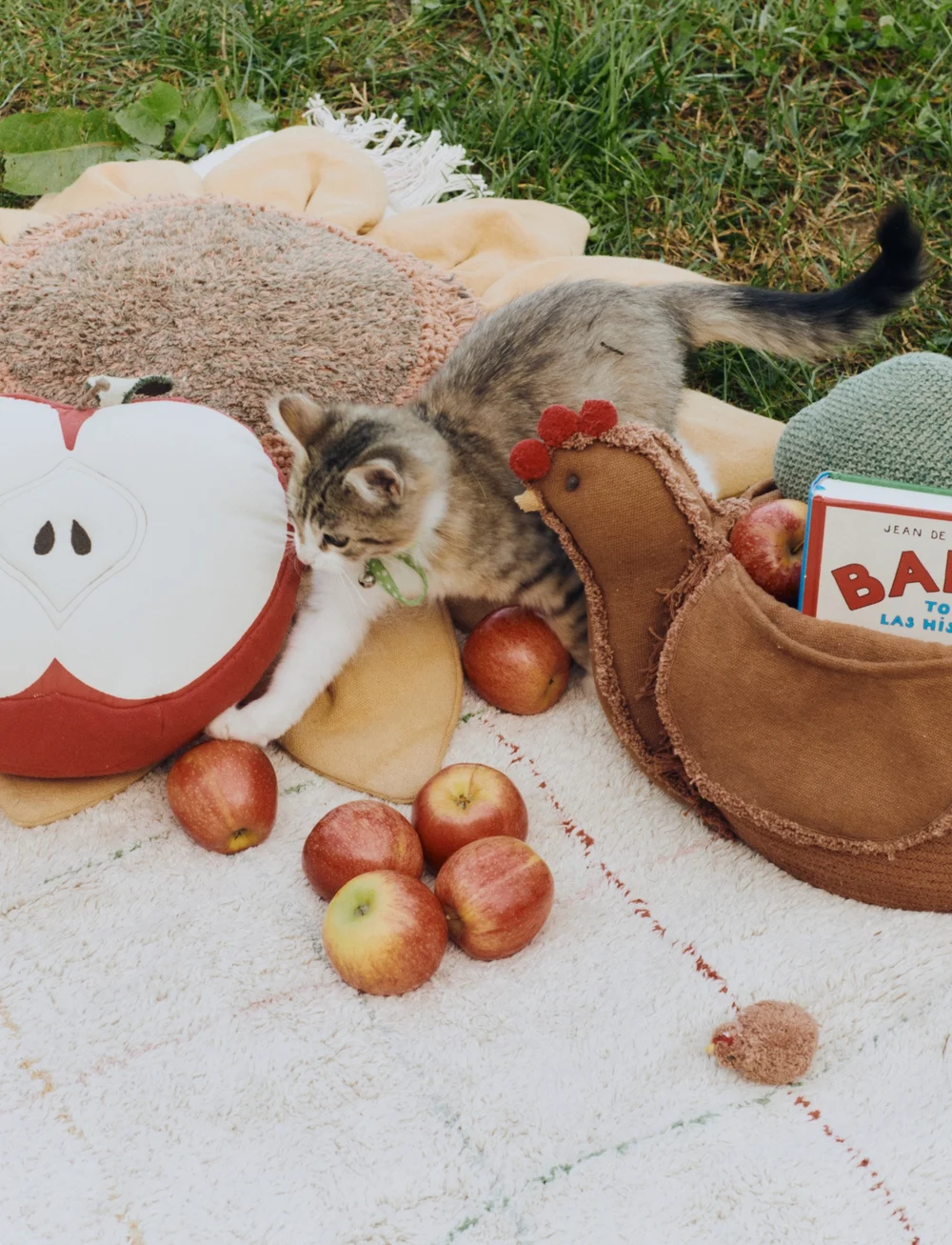 Lorena Canals - Cushion Apple - natura, red, grey - 4