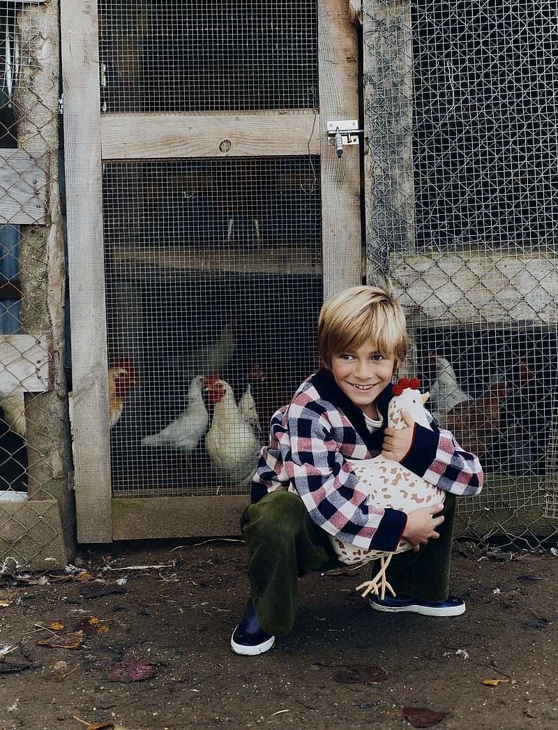 Lorena Canals - Cushion Chicken - pyntepuder - natural, chestnut, honey, dark grey - 3