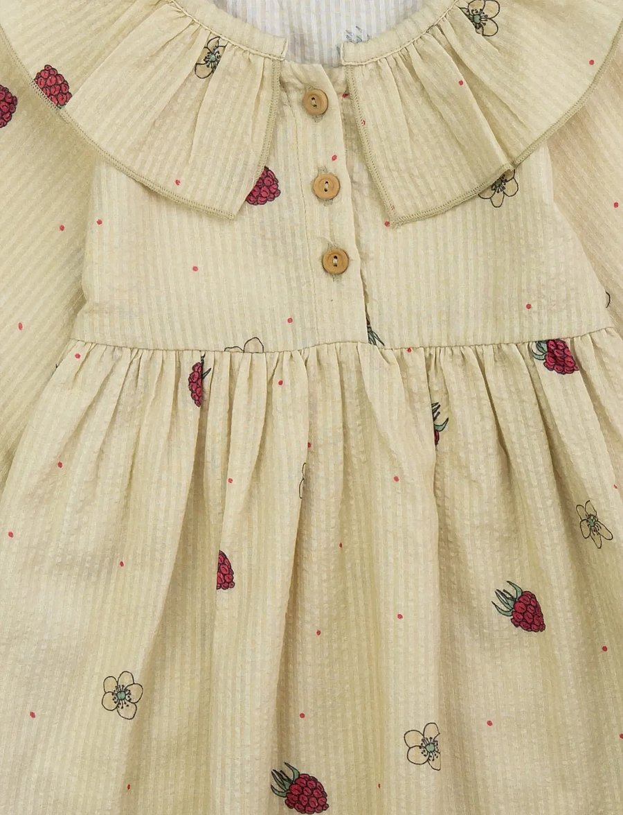LouieLouie - Lilly dress - Seersucker - babyjurken met lange mouwen - raspberry dream - 2