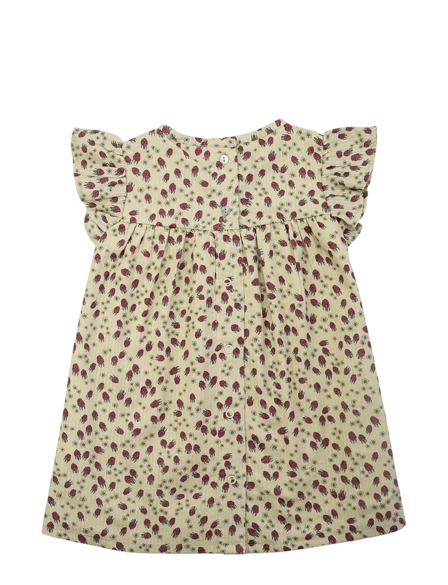 LouieLouie - Belle dress - Seersucker - varrukateta beebi kleidid - petit raspberries - 1