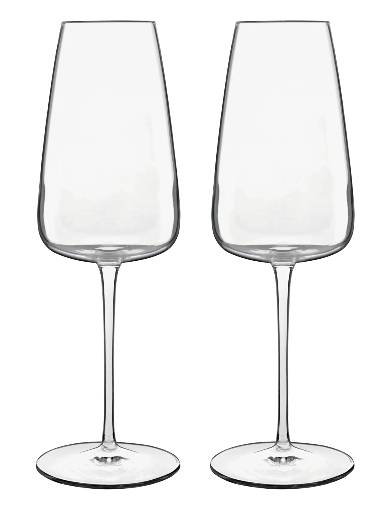 Luigi Bormioli Champagne glass Talismano 2 pcs - Geschirr - TRANSPARENT / clear
